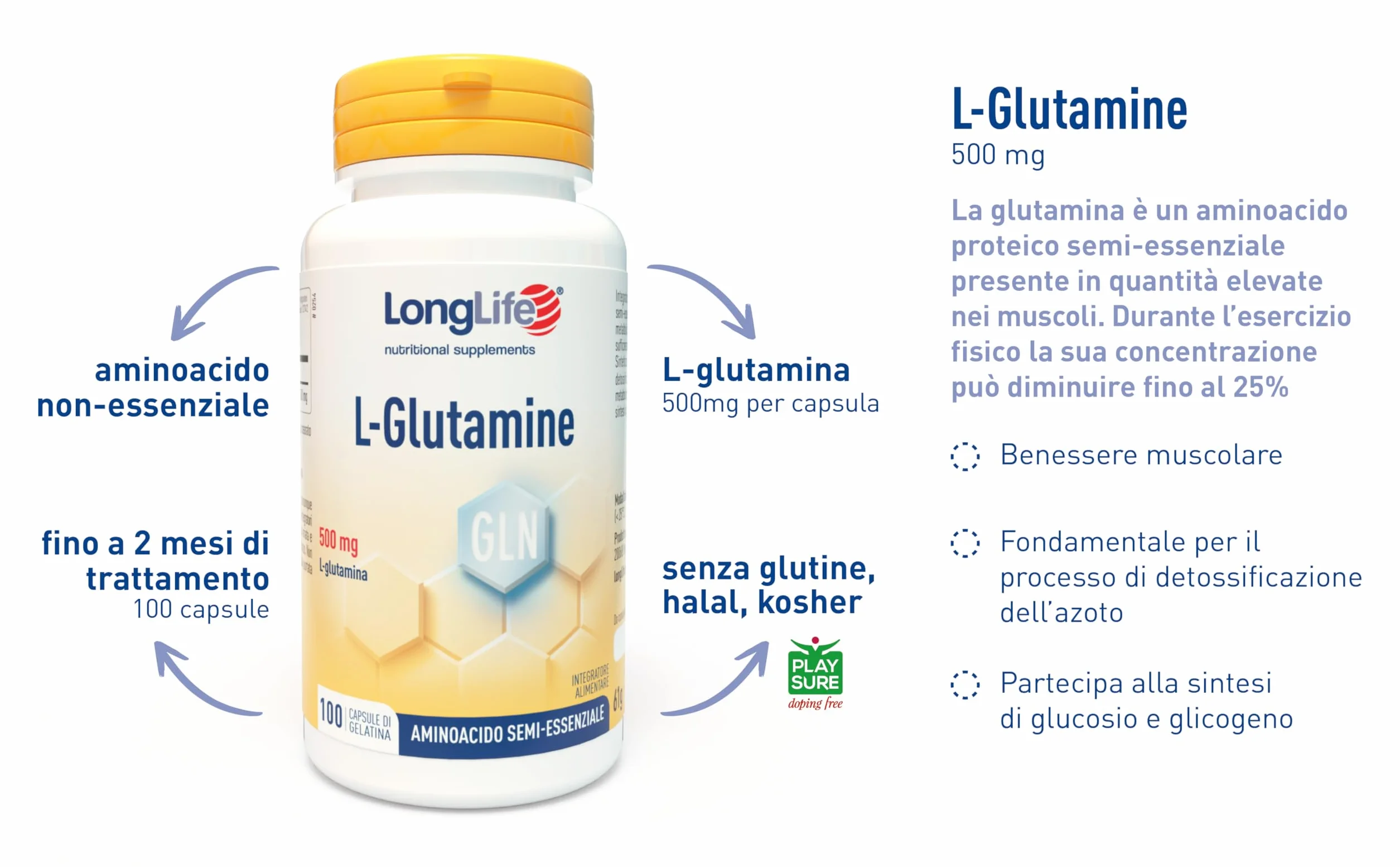 LongLife® L-Glutamine | 500 mg | Aminoacido semi-essenziale | Turnover proteico | Supporto muscolare | Alta purezza e qualità | 100 capsule di gelatina | Senza glutine e doping free