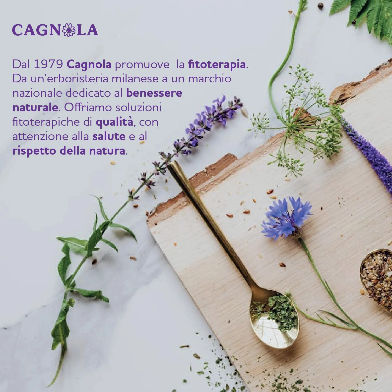 CAGNOLA Integratore Naturale Ansia Stress Gocce Rilassanti 50 ml Melissa Passiflora Lavanda