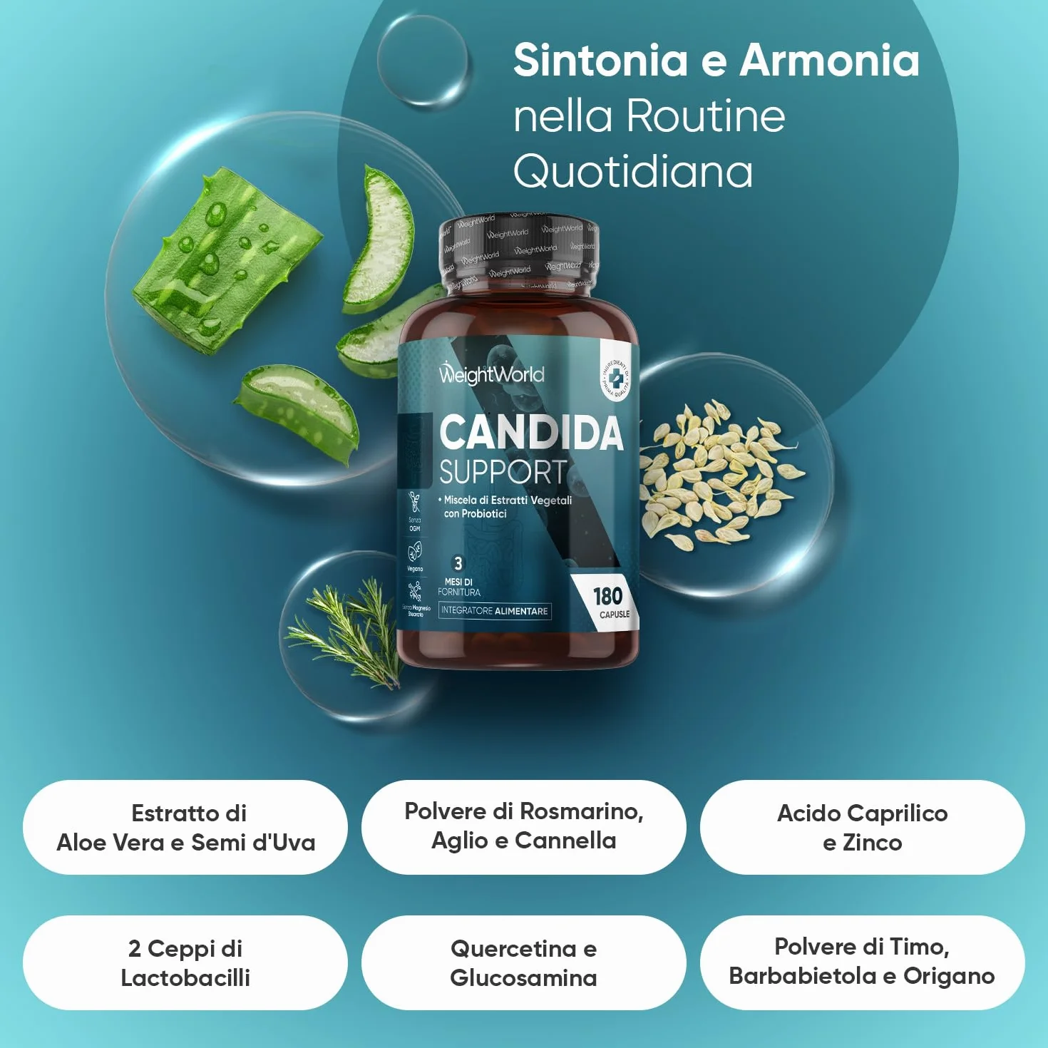 Candida Support 180 Capsule Vegane con Zinco, Aglio, Quercetina, Aloe Vera, Rosmarino, Cannella, Probiotici