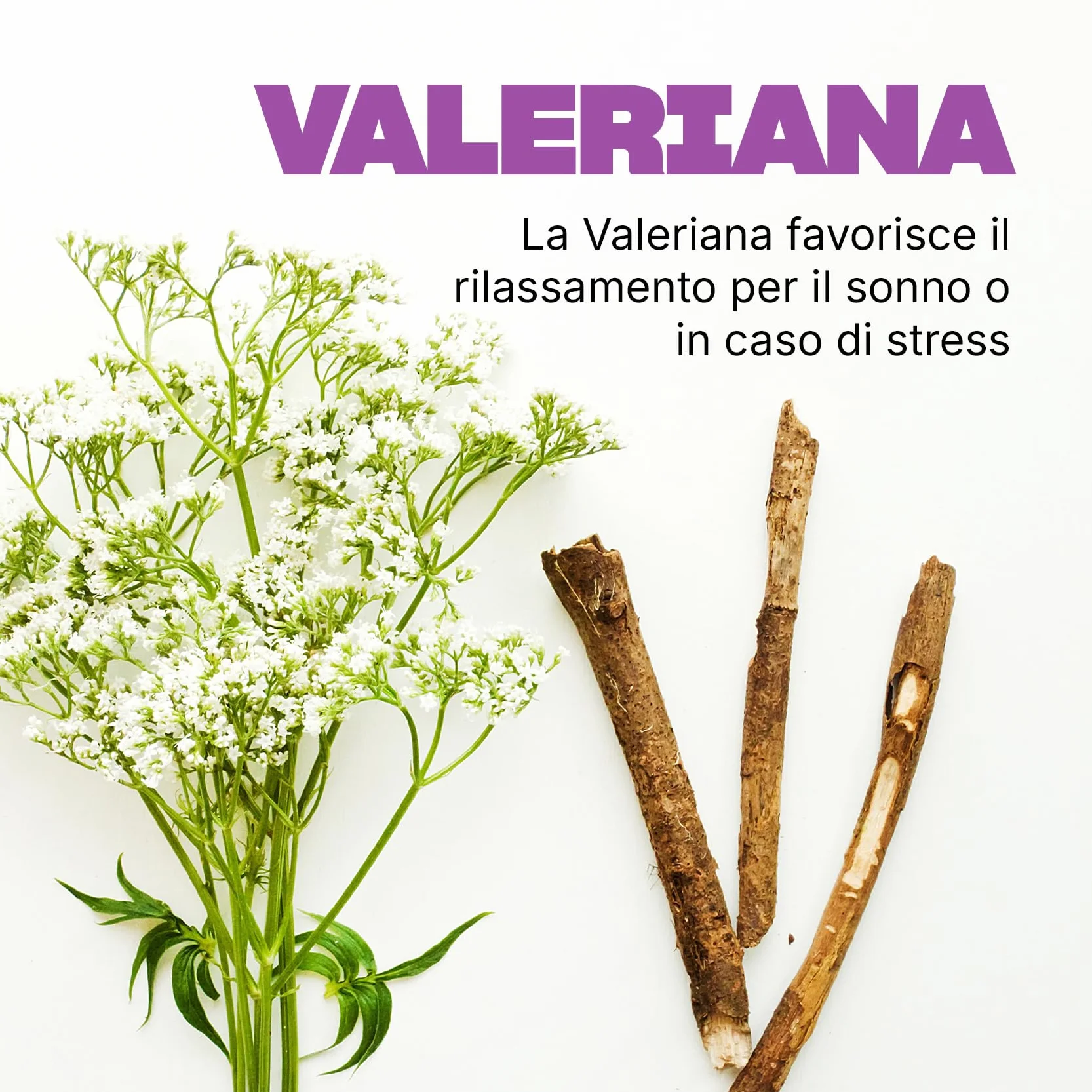 SWISSE Ultiboost Sonno & Relax Pastiglie Dormire Valeriana Liquirizia Luppolo Magnesio 50 Compresse Made in Italy