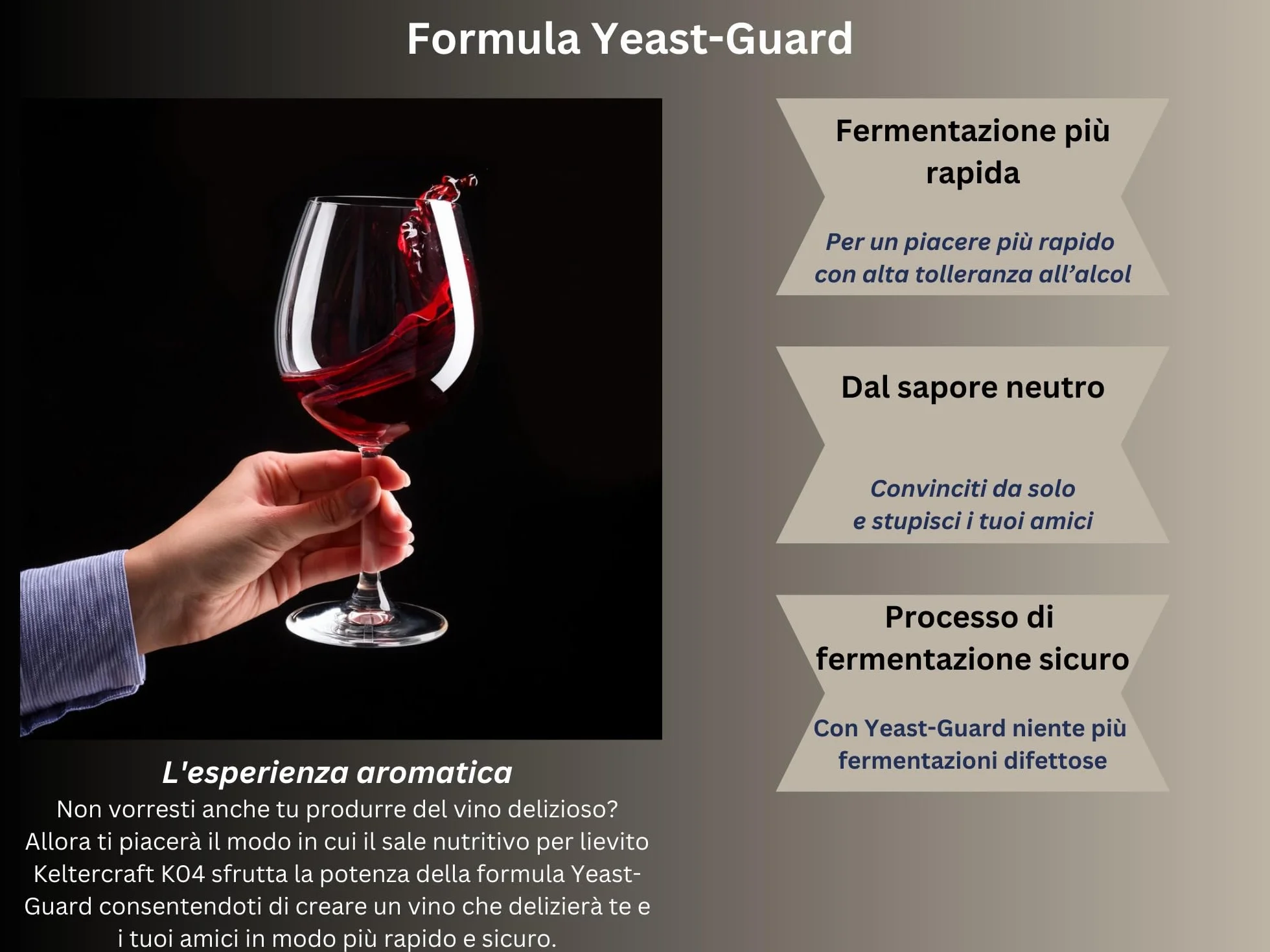 Keltercraft K04 Sale Nutriente per Lievito per Fermentazione DAP con Vitamine 10g per 25L Vino Idromele Sidro