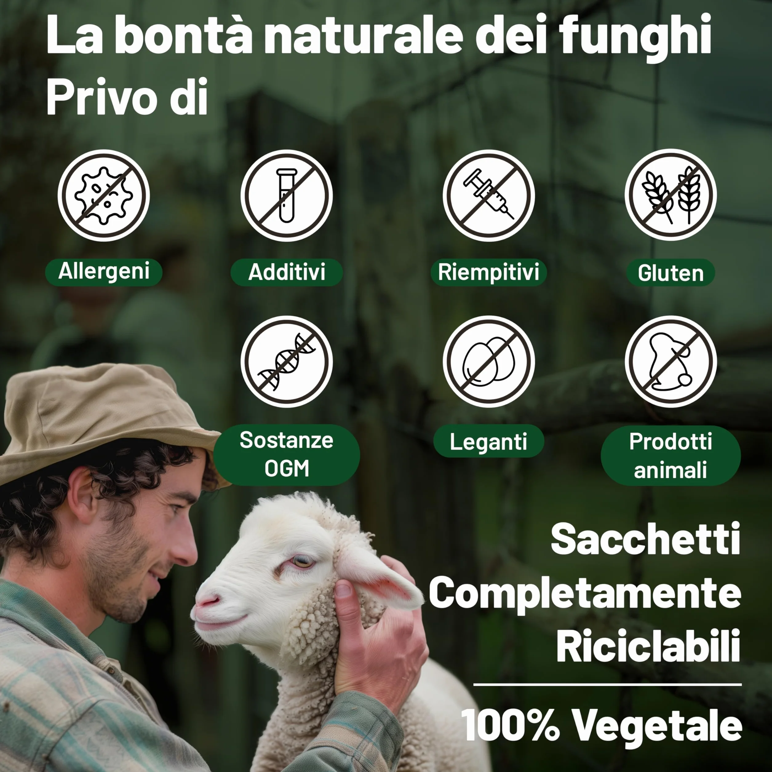 Vegan Vitality Integratore di 6 Funghi: Reishi, Lions Mane, Cordyceps, Chaga, Shiitake e Maitake - 120 Capsule da 500mg – Formula Concentrata