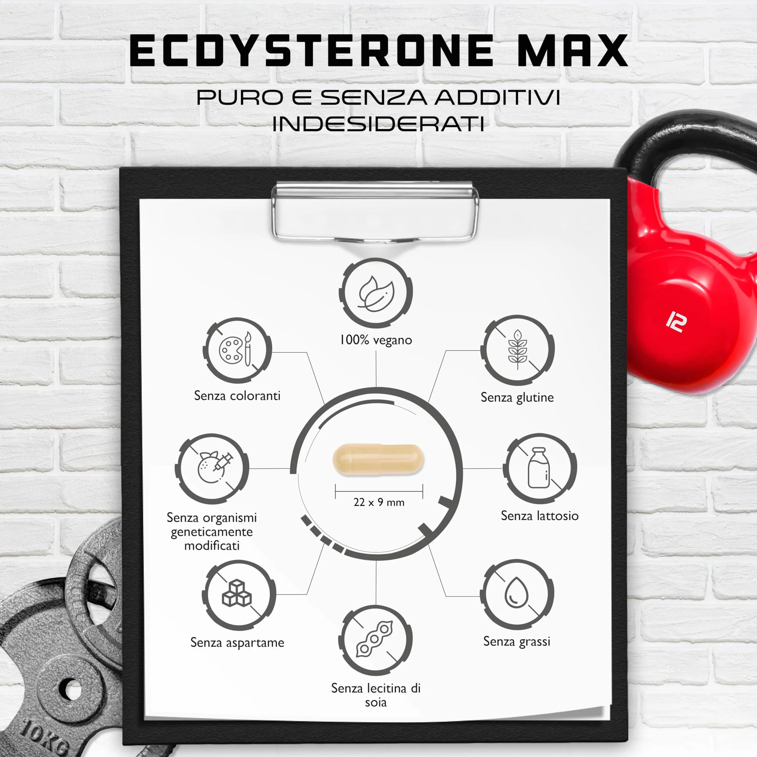 Ecdysterone Complex - Altamente dosato con 760 mg per pezzo - Premium: 90% Beta-Ecdysterone + L-Leucina + Piperina - 60 capsule - Vegan