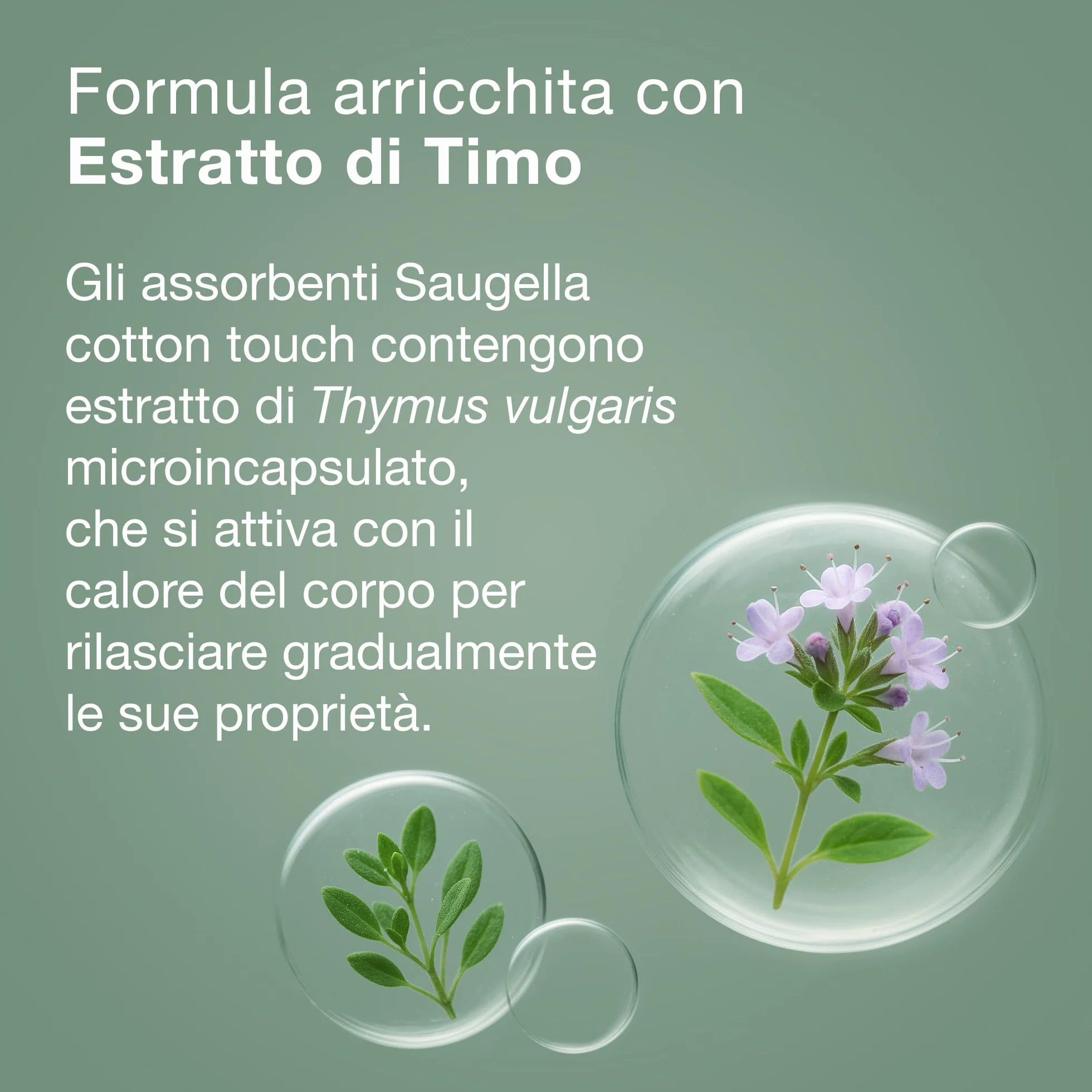 Saugella Assorbenti Cotton Touch Giorno & Notte 42+36 Cotone con Ali Antibatterico Antiodore Lenitivo