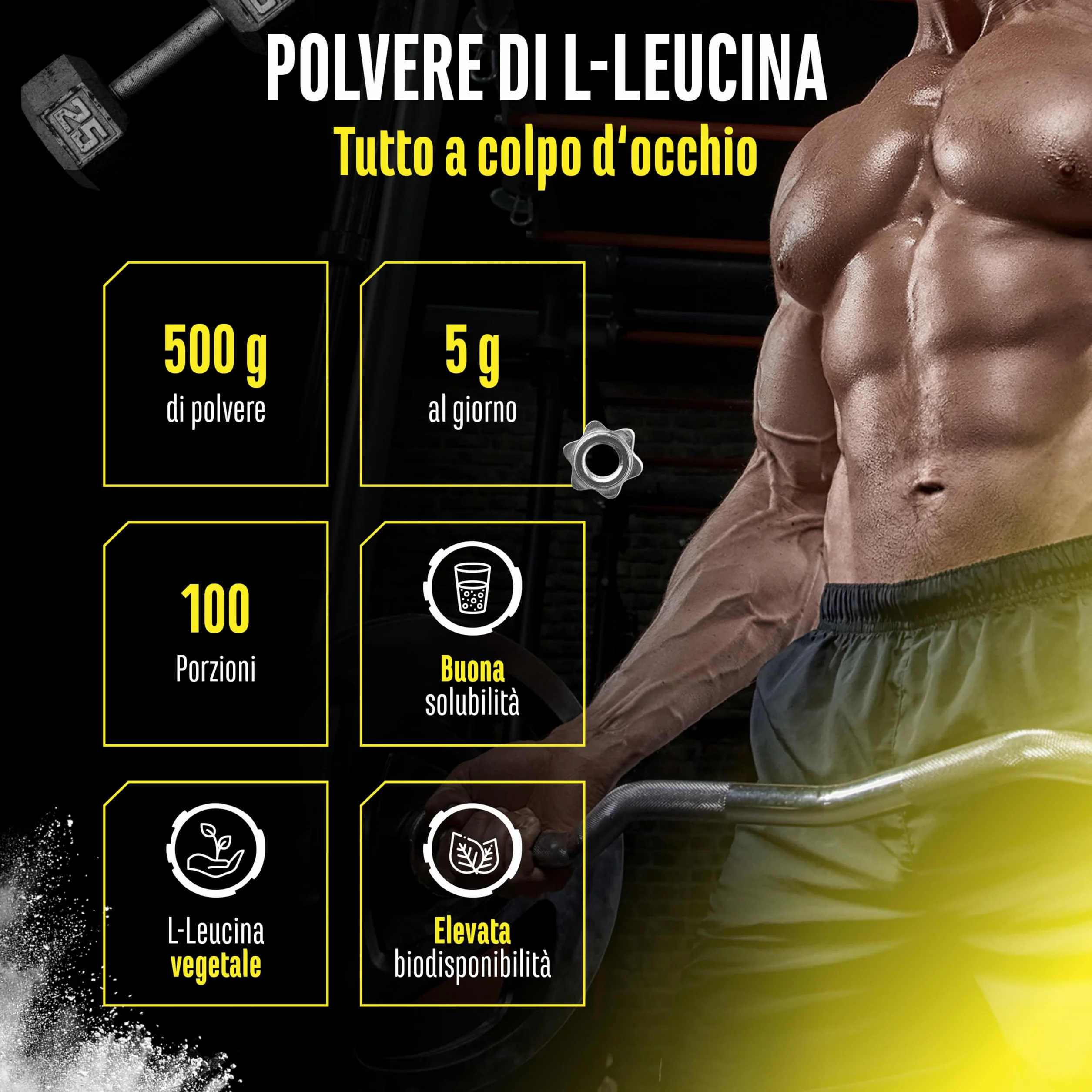 Leucina - 500 g di polvere - Elevata purezza - Materia prima premium: L-leucina naturale fermentata - Aminoacido - Senza additivi indesiderati, vegan