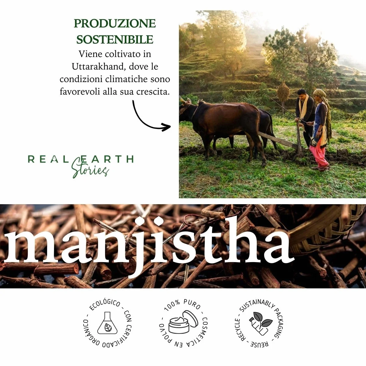 Real Earth - Manjistha in polvere - 100% puro e biologico - Cosmetici naturali in polvere - Trattamento viso naturale - Maschera facciale - Piante ayurvediche - Vegano - Antiossidante - 250gr