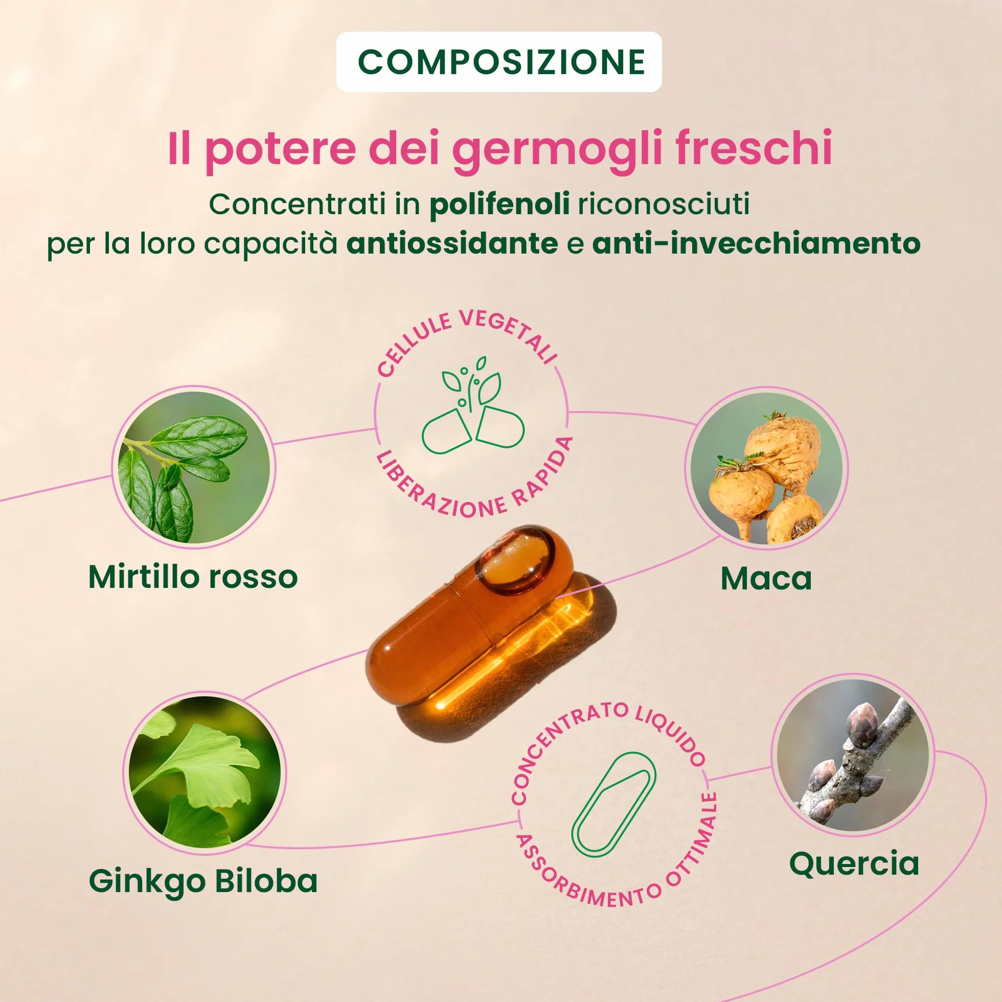 HerbalGem - GEMMOCAPS Postmenopausa - Complemento Senza Ormoni - Allevia il Disagio e Rafforza le Funzioni Ossee e Cognitive - 30 capsule