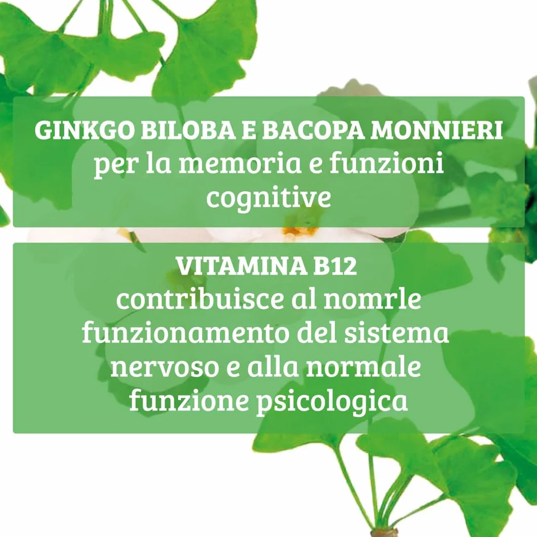 Ginkgo Biloba Plus Integratore di Ginkgo Biloba Supporto Capacità Cognitive Memoria Apprendimento Riduce Stress Fisico Mentale Senza Glutine Vegano 6