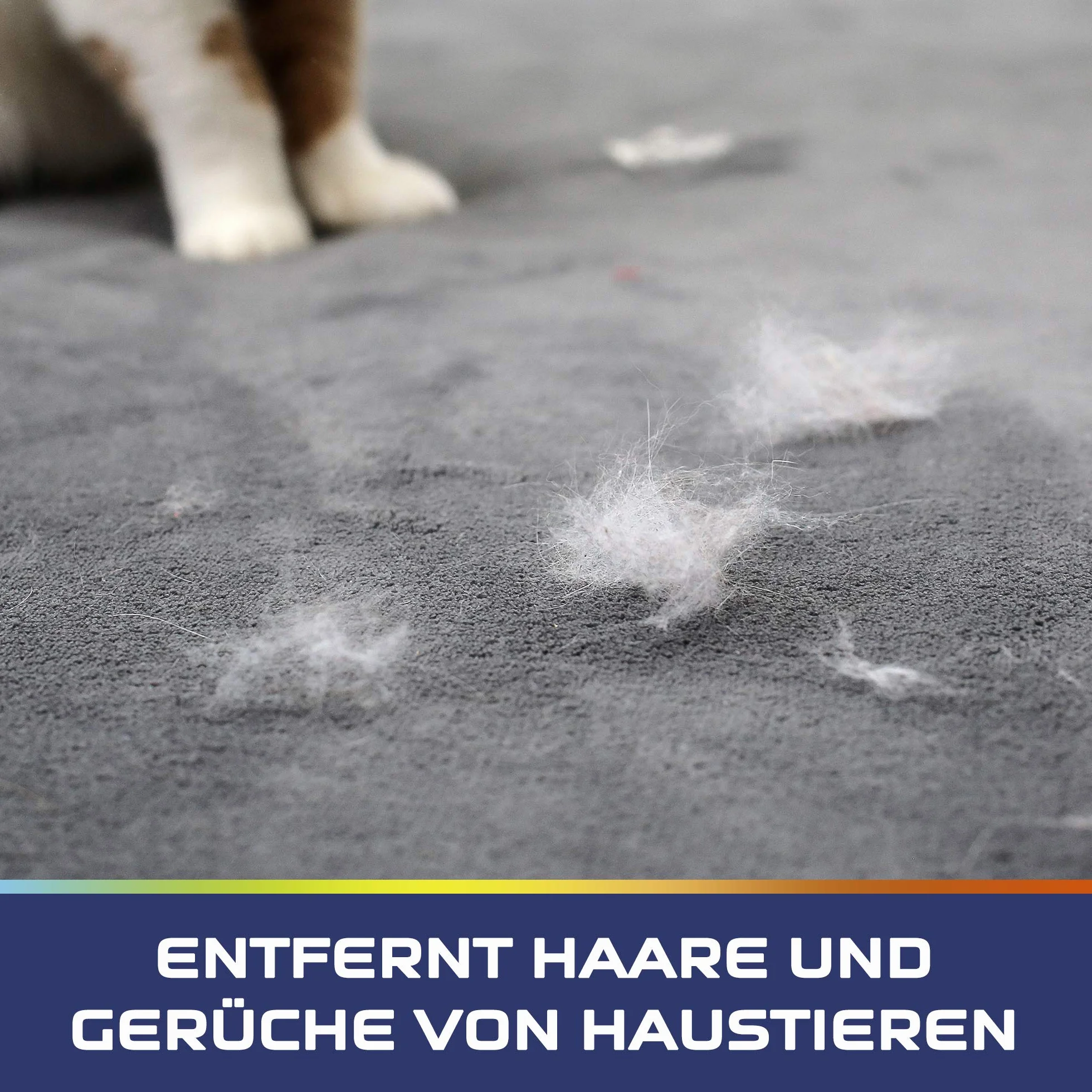 Vanish Pet Experte Detergente per tappeti e tappezzeria – 1 x 750 g – Polvere per la cura di vari tessuti e tappezzeria, ideale per grandi superfici – contro sporco, peli di animali domestici e odori