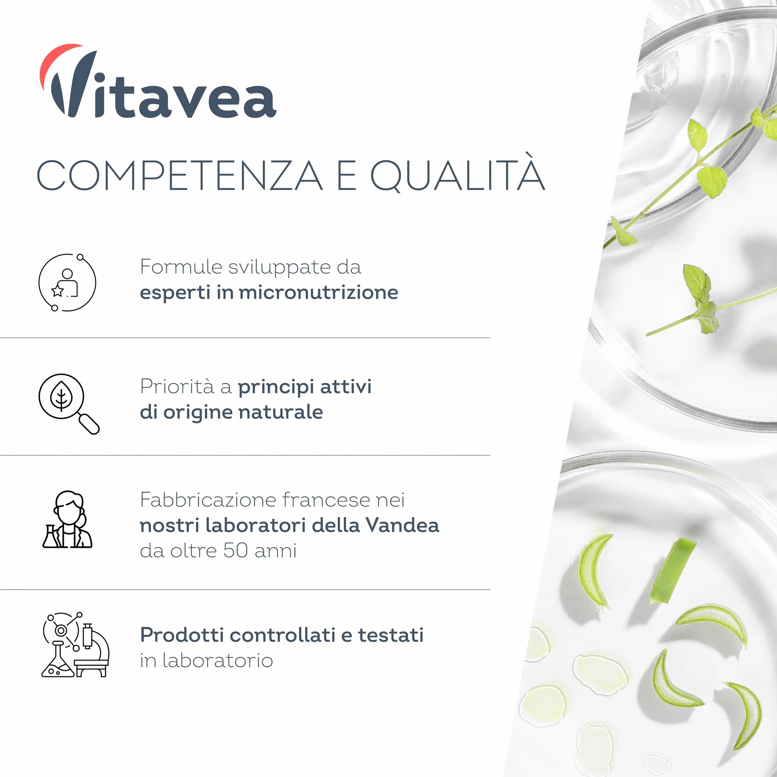Ferro con Vitamina C - Alta Biodisponibilità (Ferro Bisglicinato Chelato) - Per Energia e Sistema Immunitario - Vegano, Senza Additivi - 180 Capsule - Vitavea