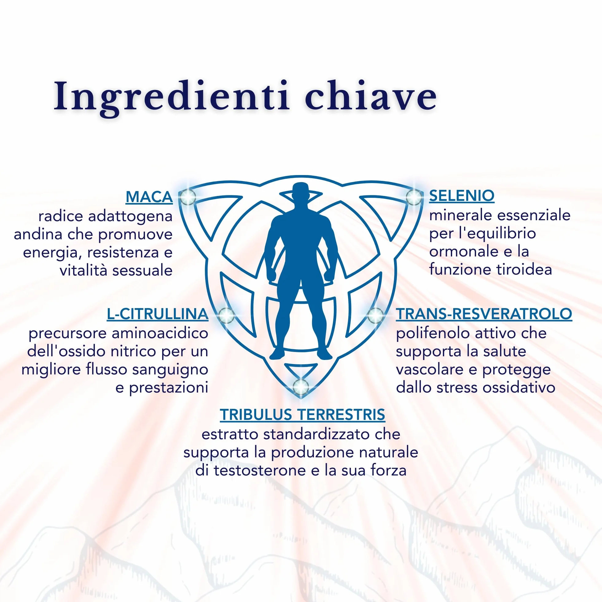 SmartAbsorb™ Tribulus Terrestris Maca L-Citrullina Trans-Resveratrolo Selenio 28 bustine giornaliere energia circolazione immunità