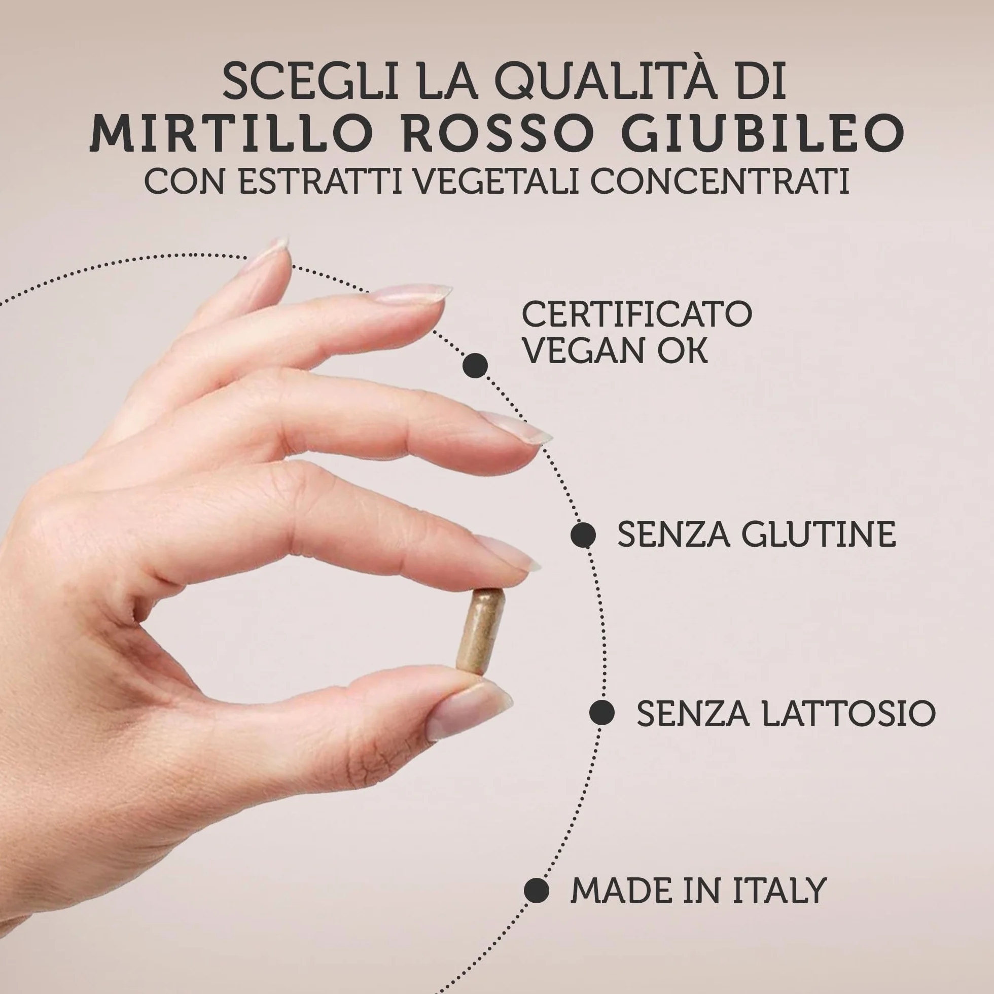 Integratore 100% naturale con MIRTILLO ROSSO E UVA URSINA - utili per la funzionalità delle vie urinarie, con BETULLA - 30 capsule