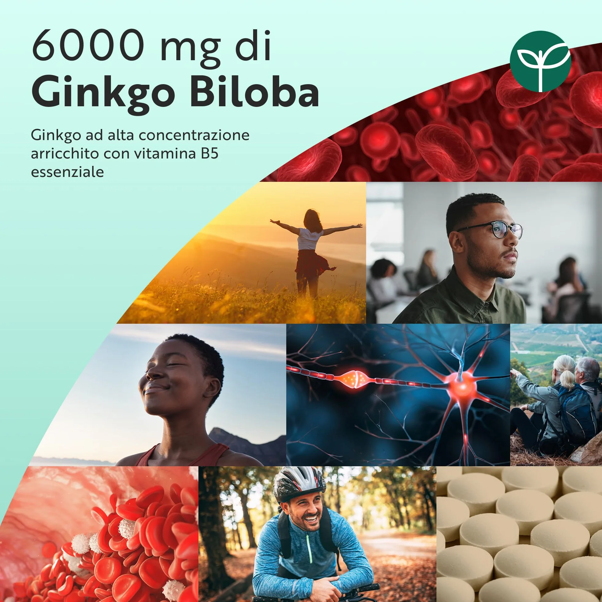 Nutravita Ginkgo Biloba 6000 mg 365 Compresse Vegane Integratore Alimentare con Vitamina B5 Estratto 50:1