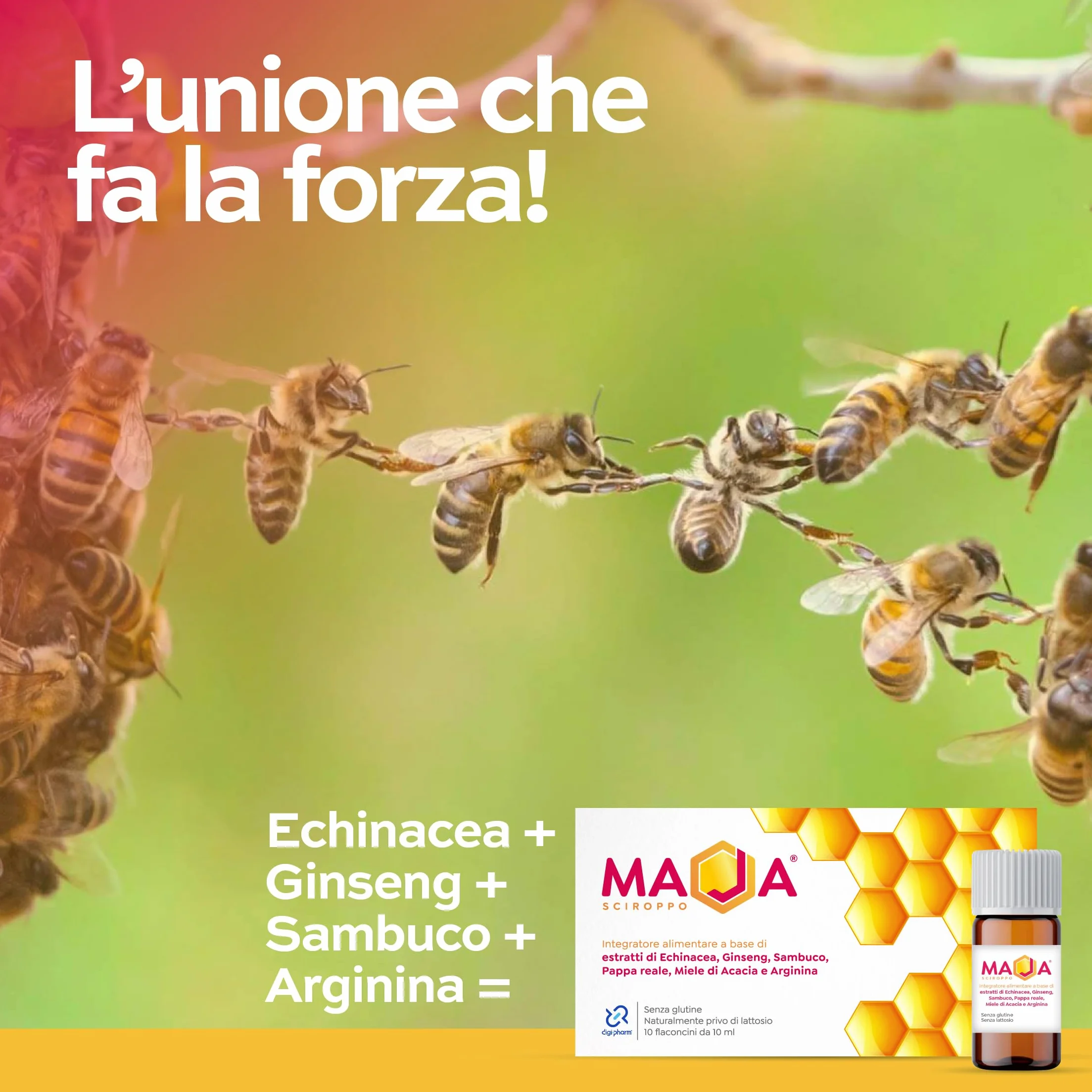 MAJA Pappa Reale Integratore Ricostituente Energia Fisica e Mentale con Echinacea Miele di Acacia Ginseng Sanbuco Arginina 10 Flaconi Made in Italy