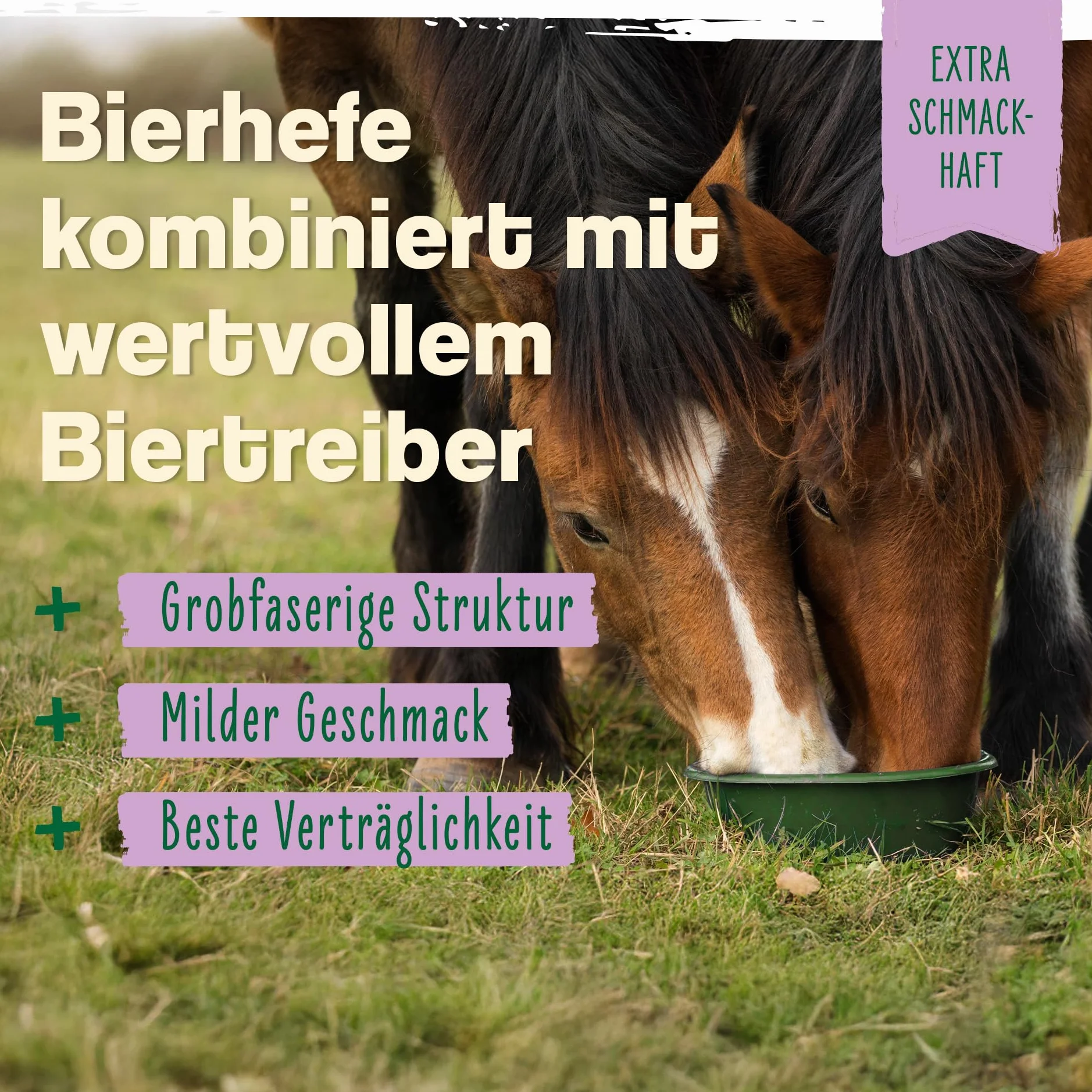 Ida Plus Lievito di birra Bt 6 kg Integratore alimentare per cavalli e pony pelo lucido pelle forte supporta digestione flora intestinale vitamine gruppo B