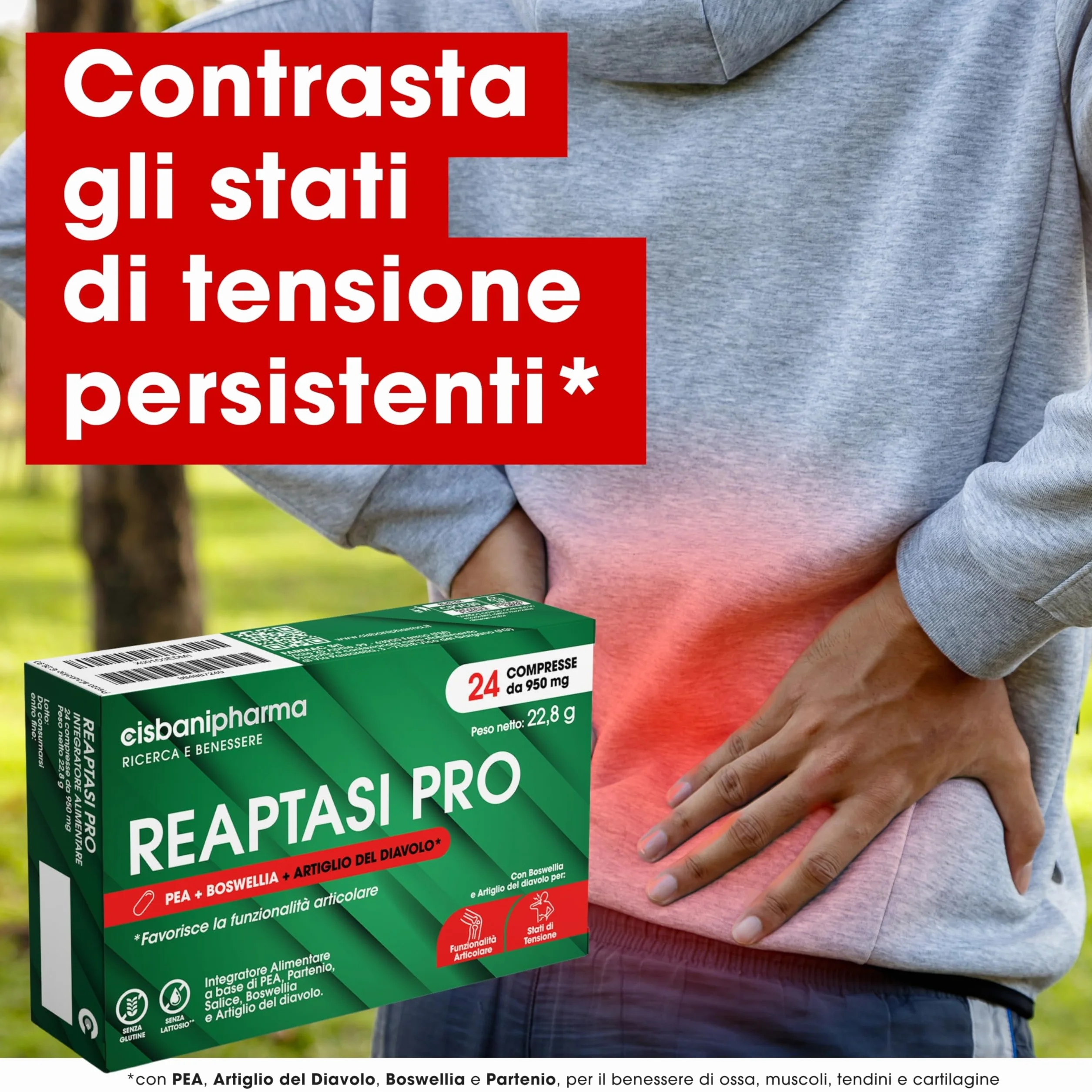 CISBANI PHARMA Reaptasi Pro, Integratore Articolazioni, Favorisce la Normale Funzionalità Articolare, con PEA, Artiglio del Diavolo, Boswellia e Partenio – 24 Compresse