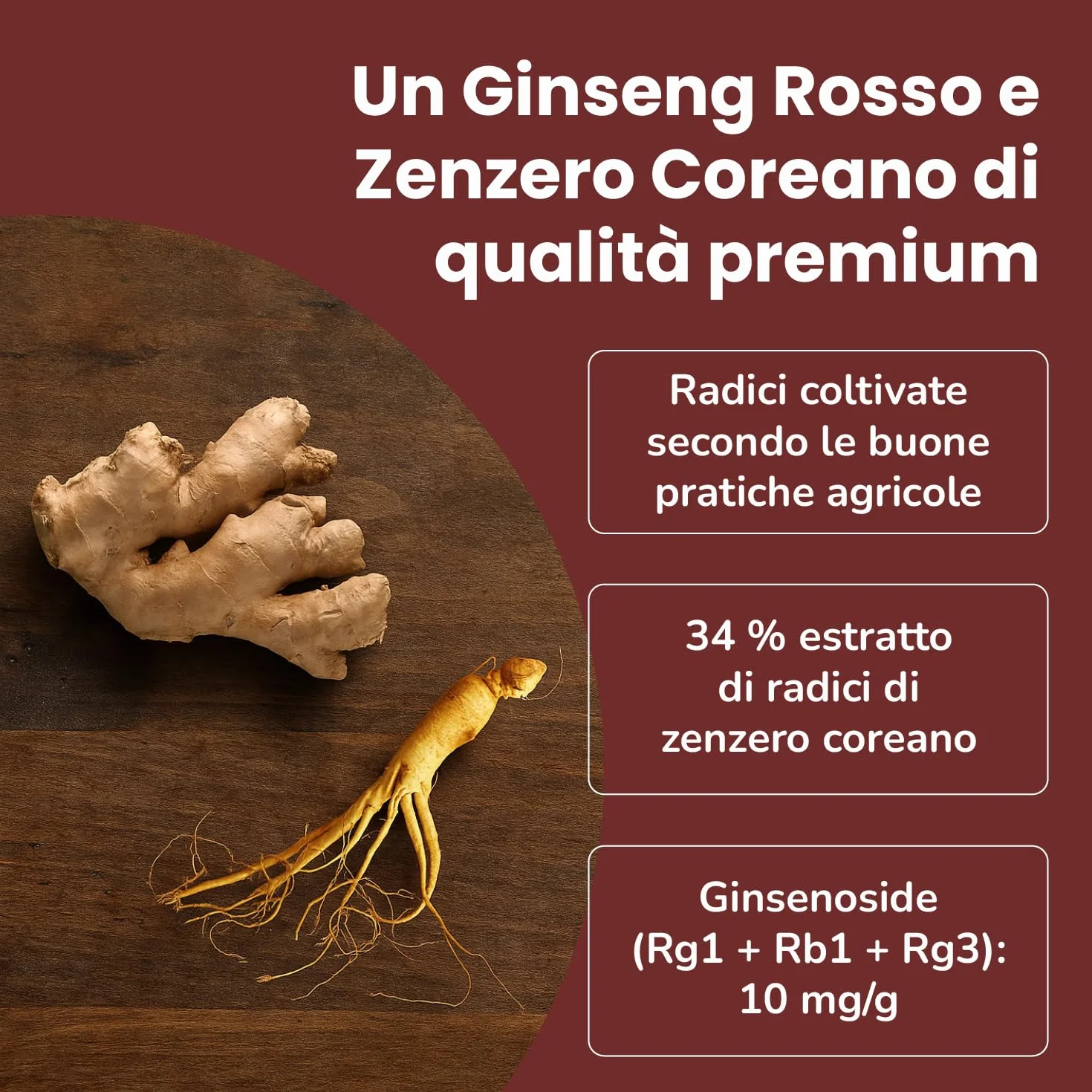 SAMSIDAE Ginseng Rosso & Zenzero Coreano titolato 10 mg/g 50g Energia Digestione Immunità Cucchiaino Incluso