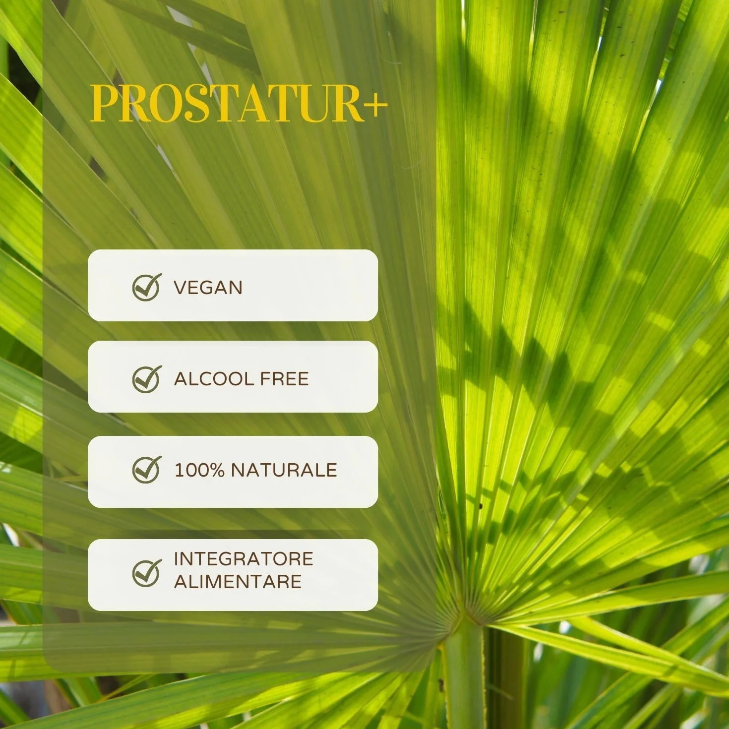 PROSTATUR+ Integratore Prostata Antinfiammatorio con Serenoa Repens, Pygeum Africanum, Epilobio, Ortica, Aloe, Zinco e Vitamina D 500 ml