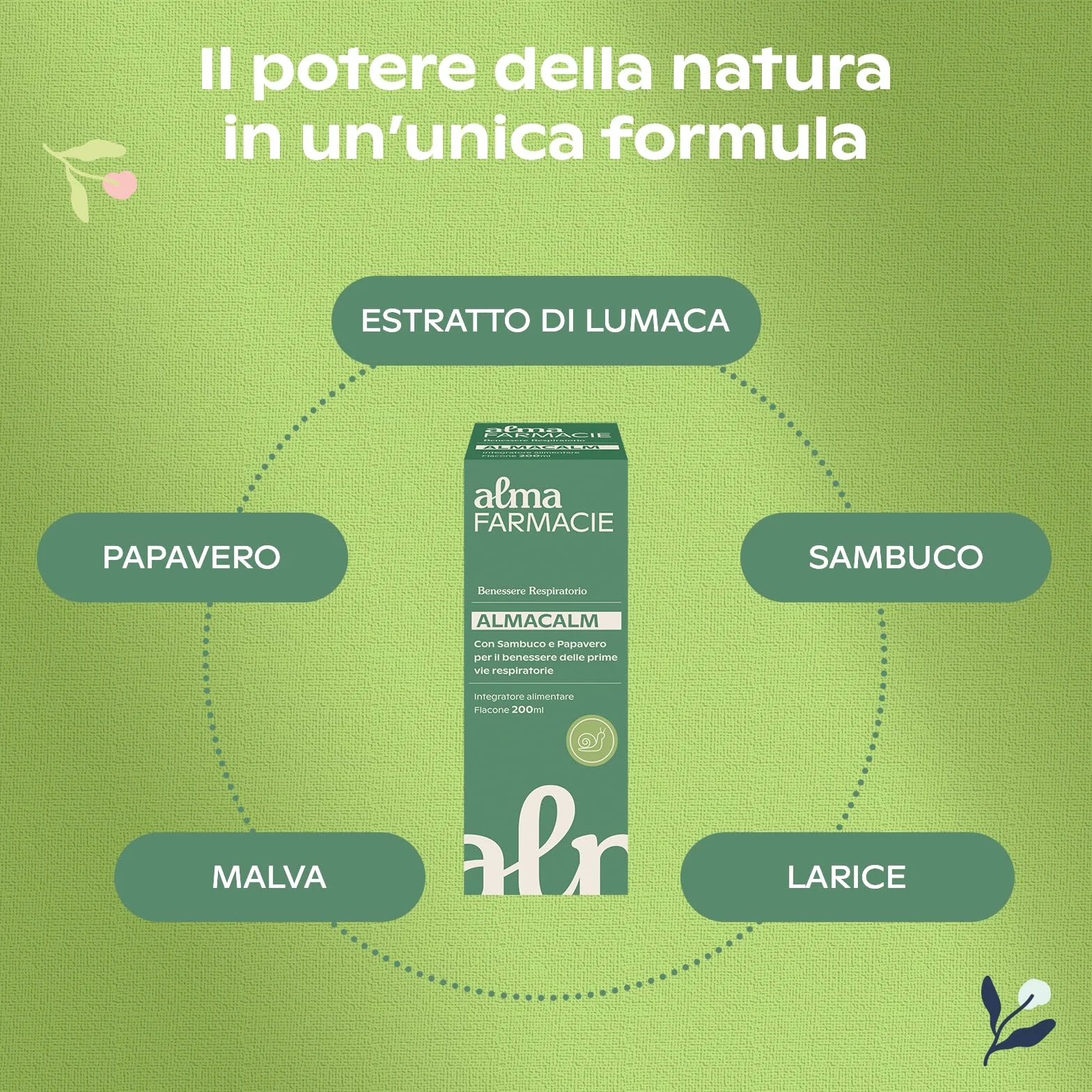 AlmaCalm Alma Farmacie, Sciroppo per Tosse ad Azione Lenitiva, Con Ingredienti Naturali, Malva, Sambuco e Papavero, Anche per Bambini, Bassa Concentrazione di Zuccheri, 200 ml