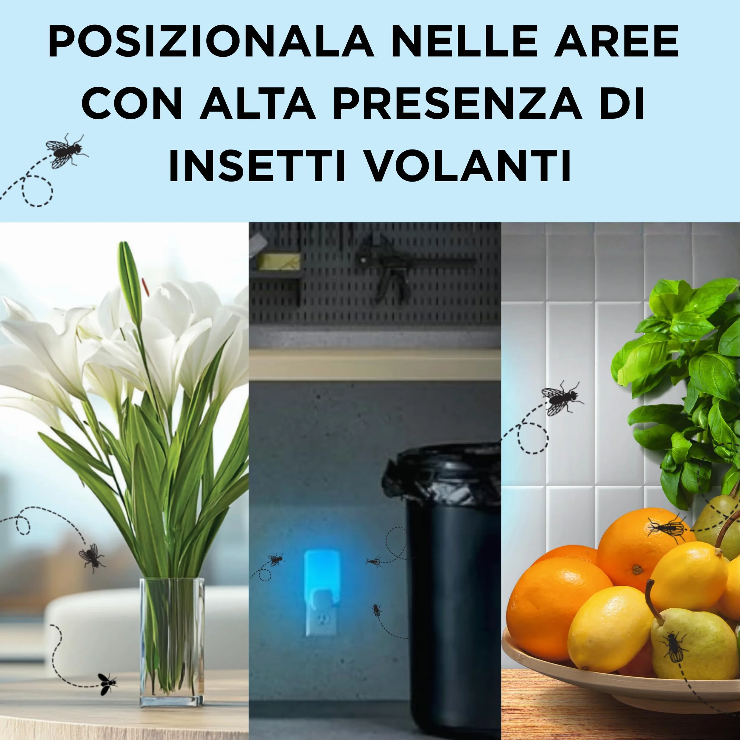 Raid Essentials Trappola Insetti Volanti Base Antimosche, Antimoscerini e Antitarme, Senza Insetticida, Protezione 24/7 dagli Insetti Volanti, per uso Interno, 1 Trappola e 1 Ricarica