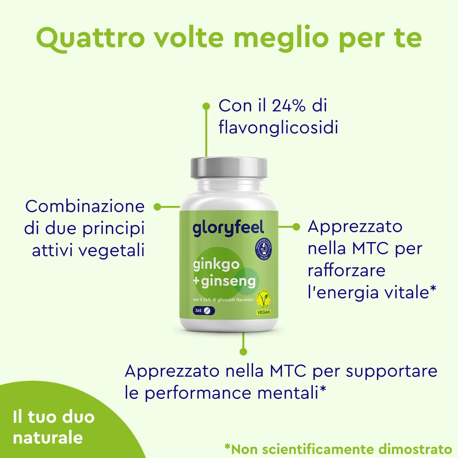 Ginkgo + Ginseng 365 Compresse - 24% Glicosidi Flavonici - Estratto di Panax Ginseng e Ginkgo Biloba (50:1) ad Alto Dosaggio - Scorta di 1 Anno - Testato in Laboratorio, Vegan e Senza Additivi