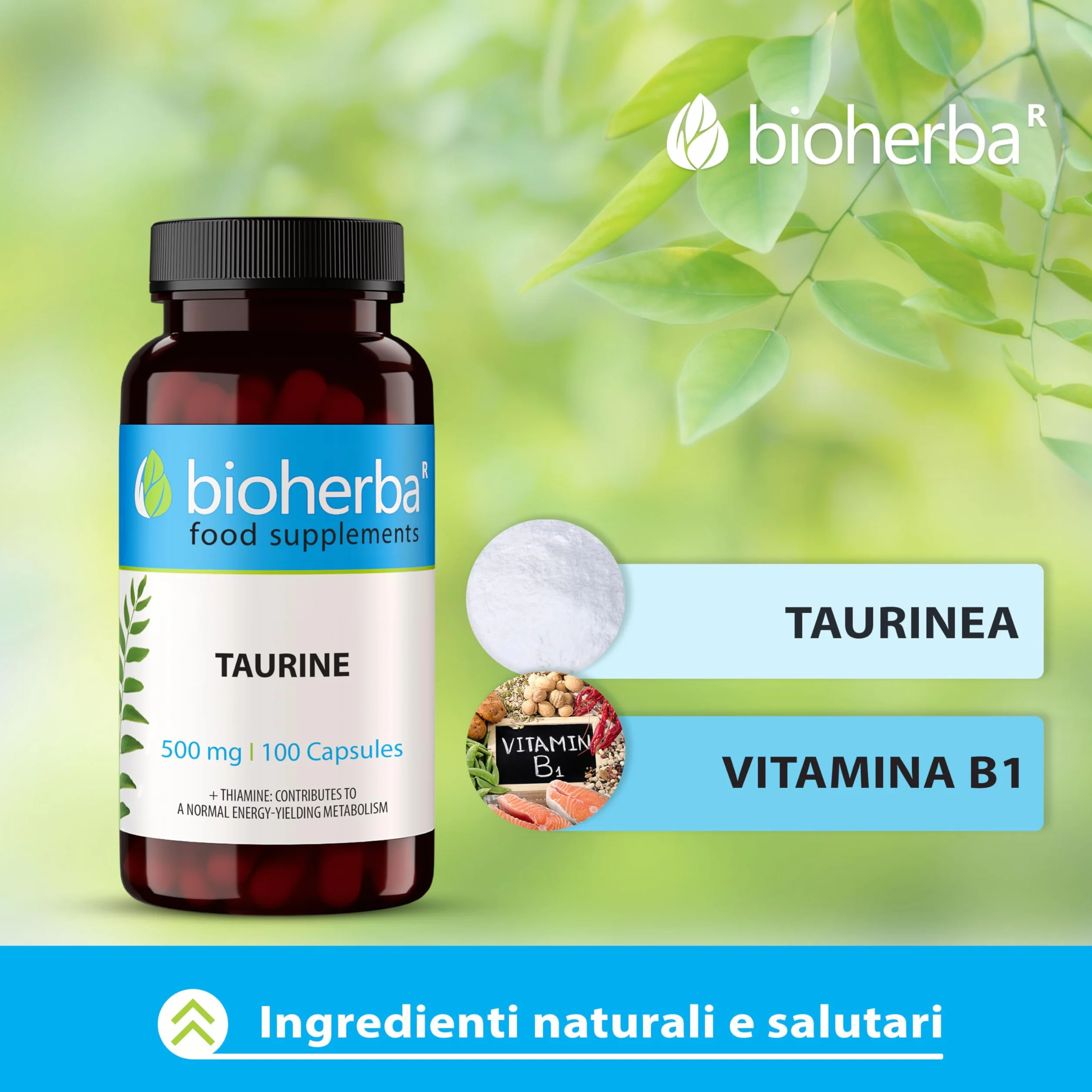 TAURINA Capsule 500 mg - 100 pezzi | Nutrimento per Pre e Post Allenamento | Senza Stearato di Magnesio o Caffeina di BIOHERBA