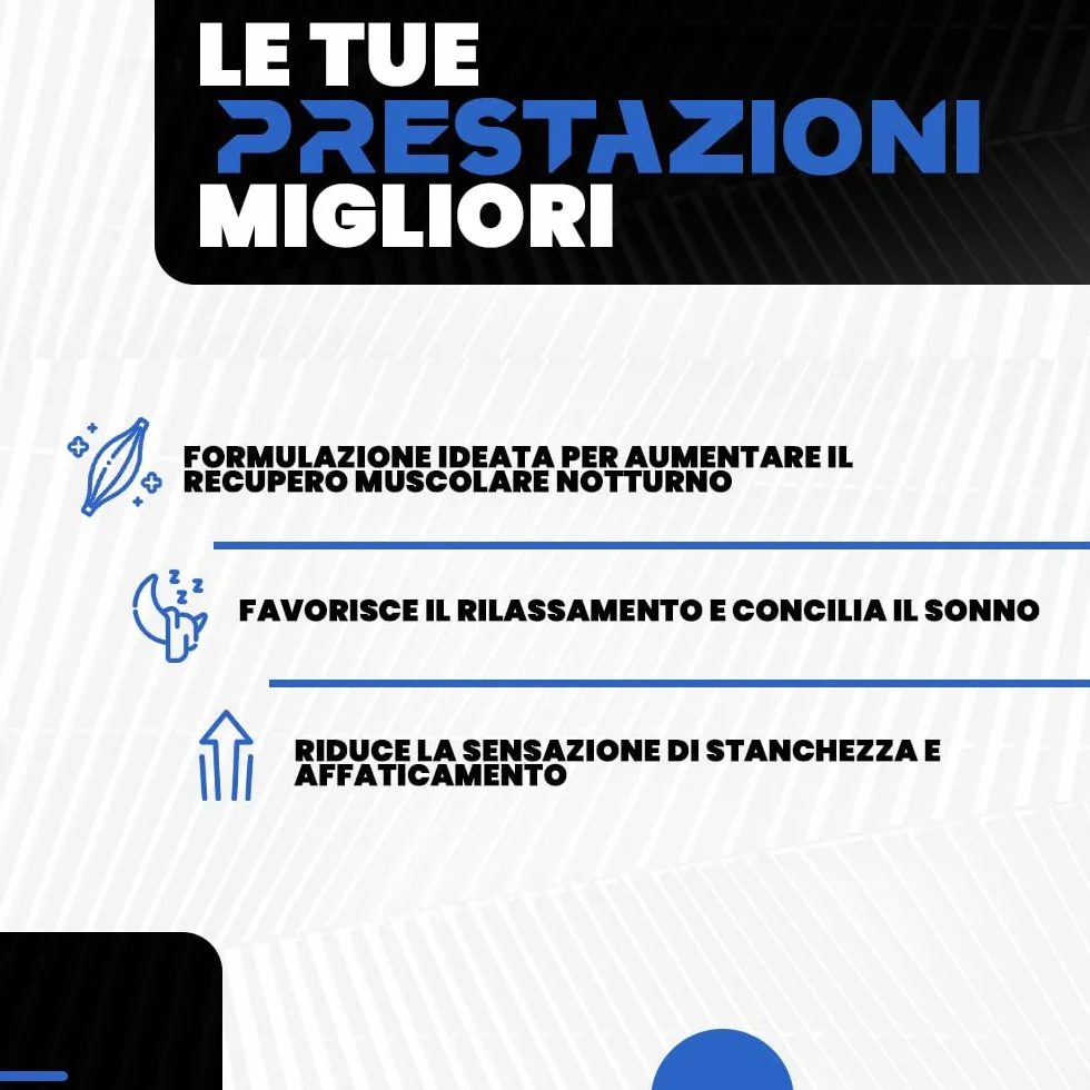 VIKING's Integratore Glutammina, Arginina, Lisina, Acido Aspartico, ZMA, Fosfatidilserina, Ornitina OKG | Post Workout per Recupero Muscolare Notturno, Riduce Stanchezza e Migliora il Sonno