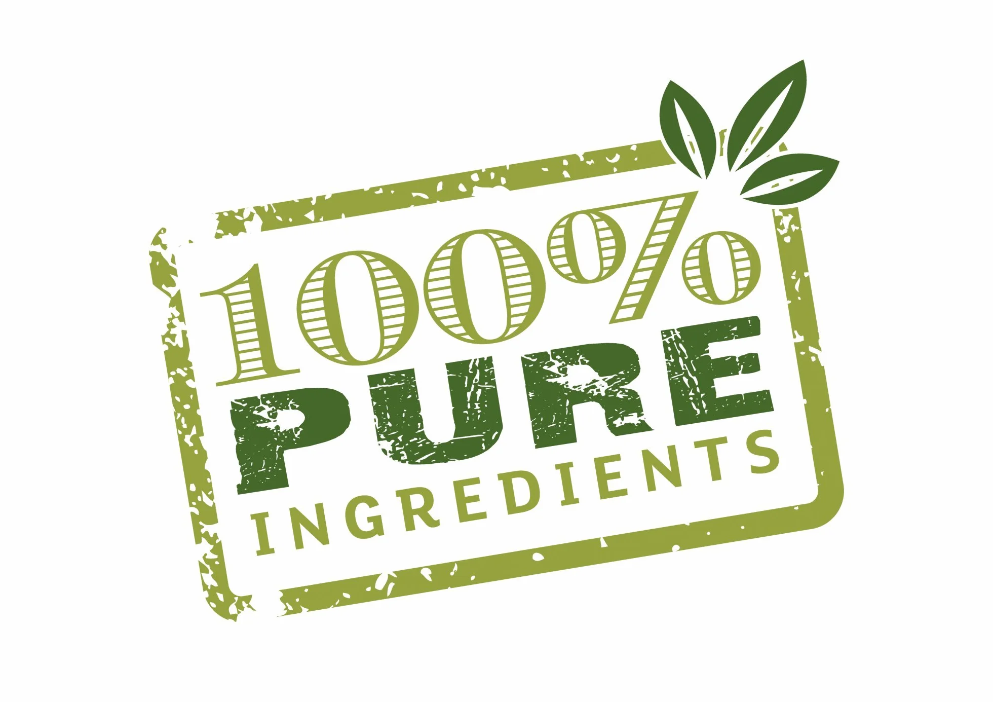 Dong Quai in Polvere 100g