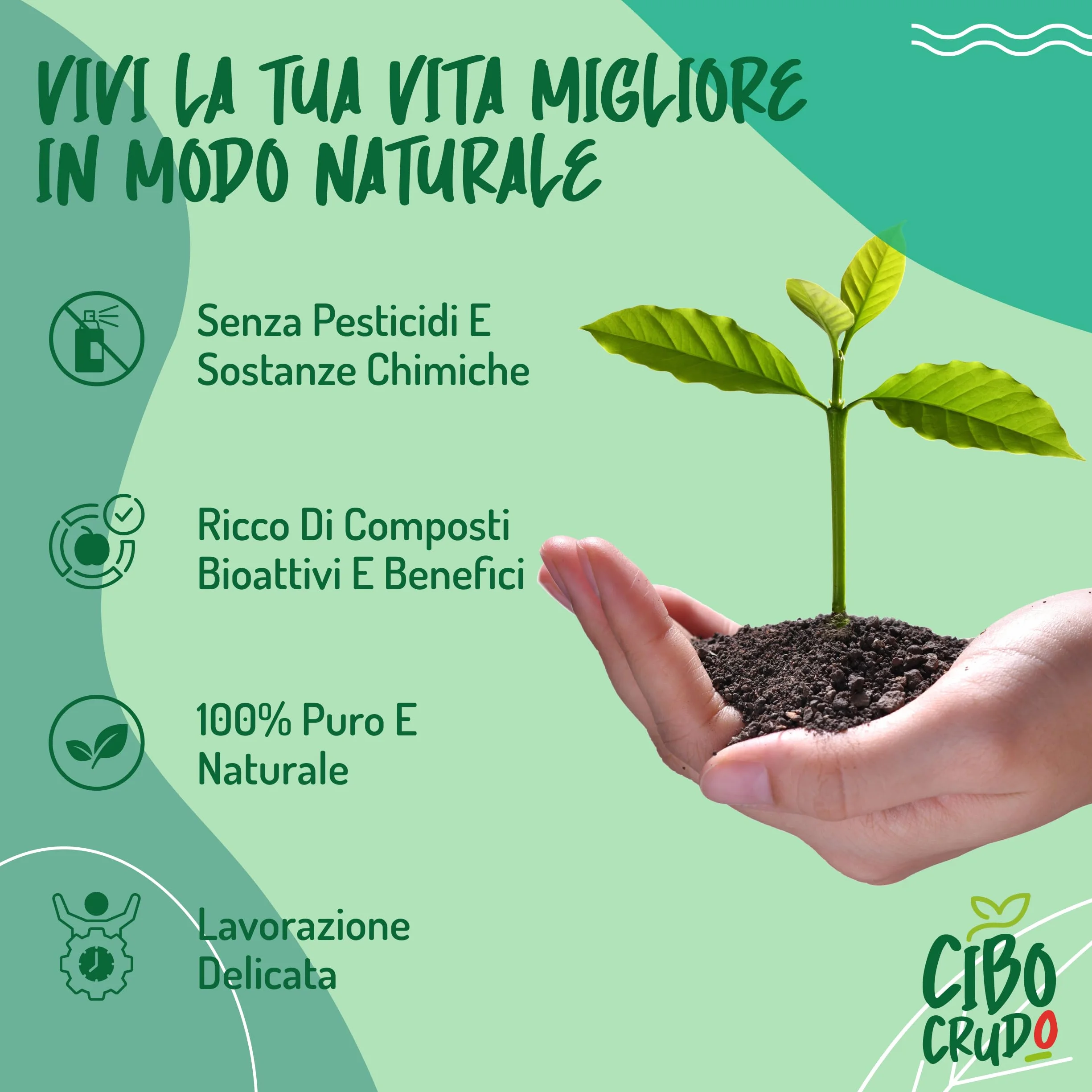 Reishi Ganoderma Lucidum Puro e Bio in Polvere - 300g. Fungo Reishi Biologico Essiccato al Sole e Macinato a Basse Temperature. Funghi medicinali Fonte di Antiossidanti, Fungo Cinese Reishi