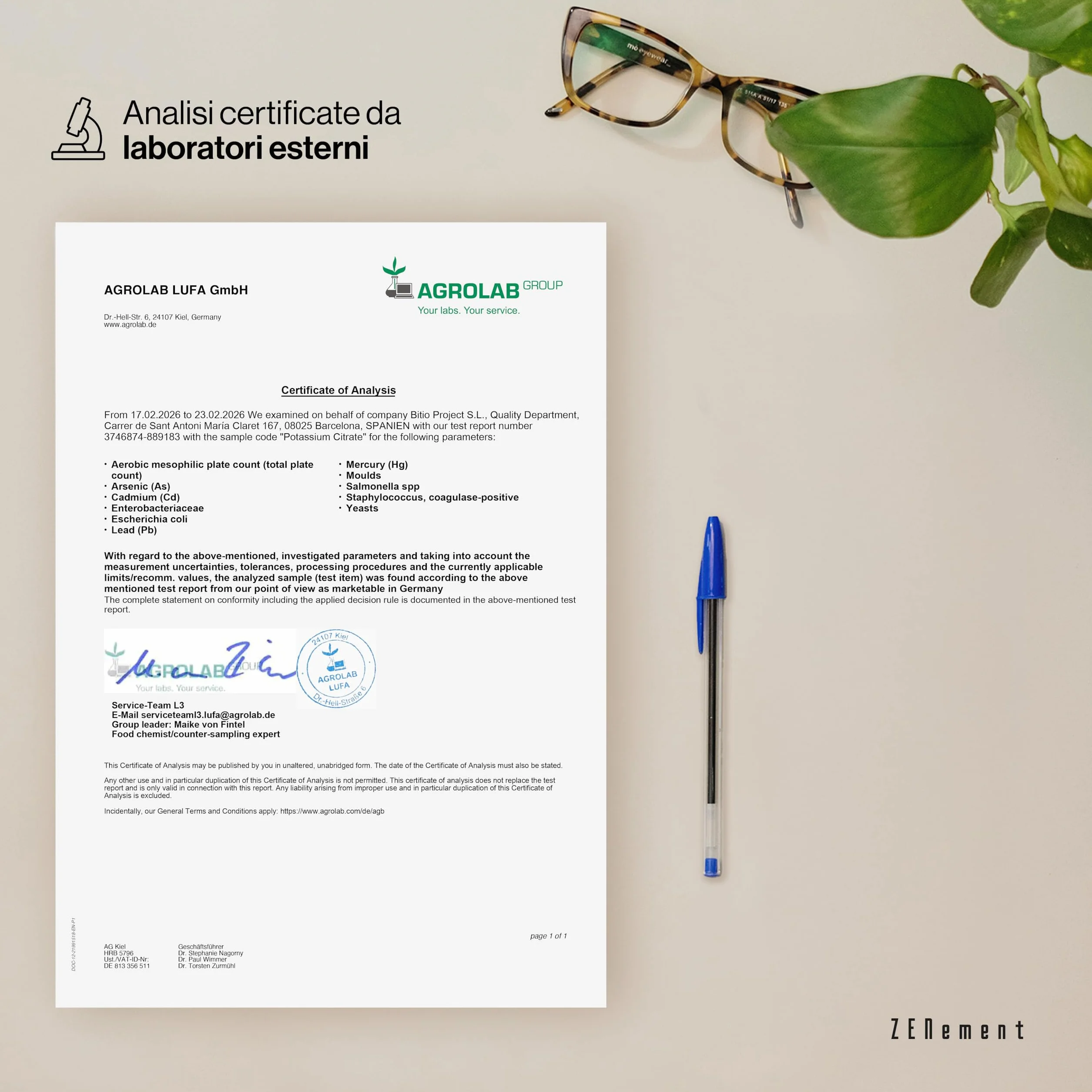 Citrato di Potassio 2105 mg per Dose (800 mg di Potassio Elementare in 2 capsule) - 180 Capsule per 3 Mesi - Supporto Muscolare, Nervoso e Pressione - Vegano e Senza Additivi - Zenement