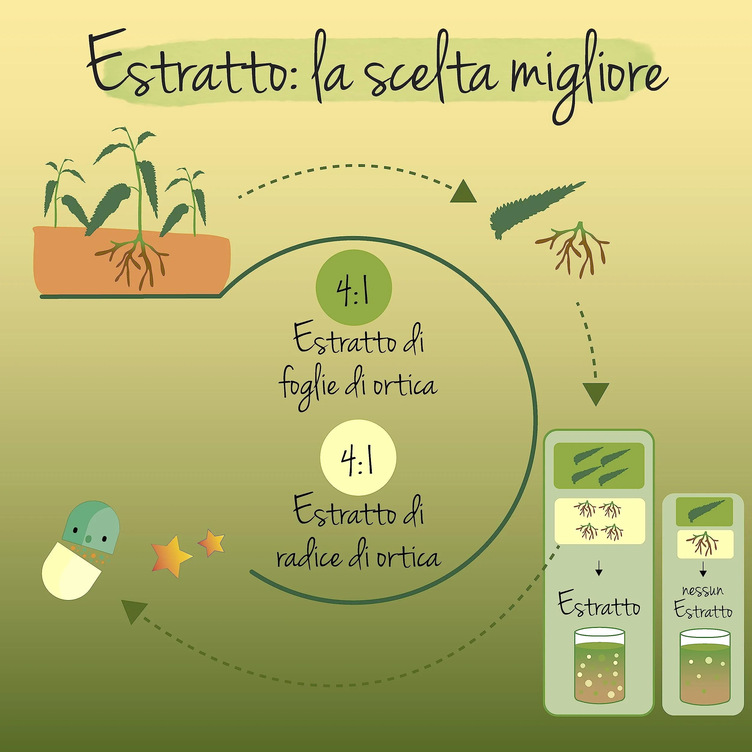 Vegavero ORTICA BIO 450 mg Estratto Radice Foglie Urtica Dioica 120 capsule Prostata Vie Urinarie