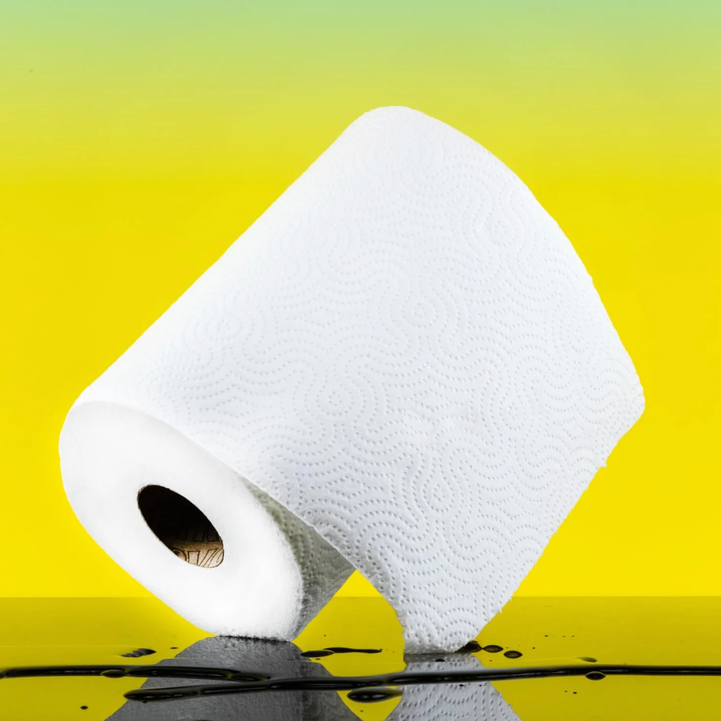 Renova Asciugamano Di Carta Maxiassorbente Extra XXL 1 Rotolo 28.8 M Bianco