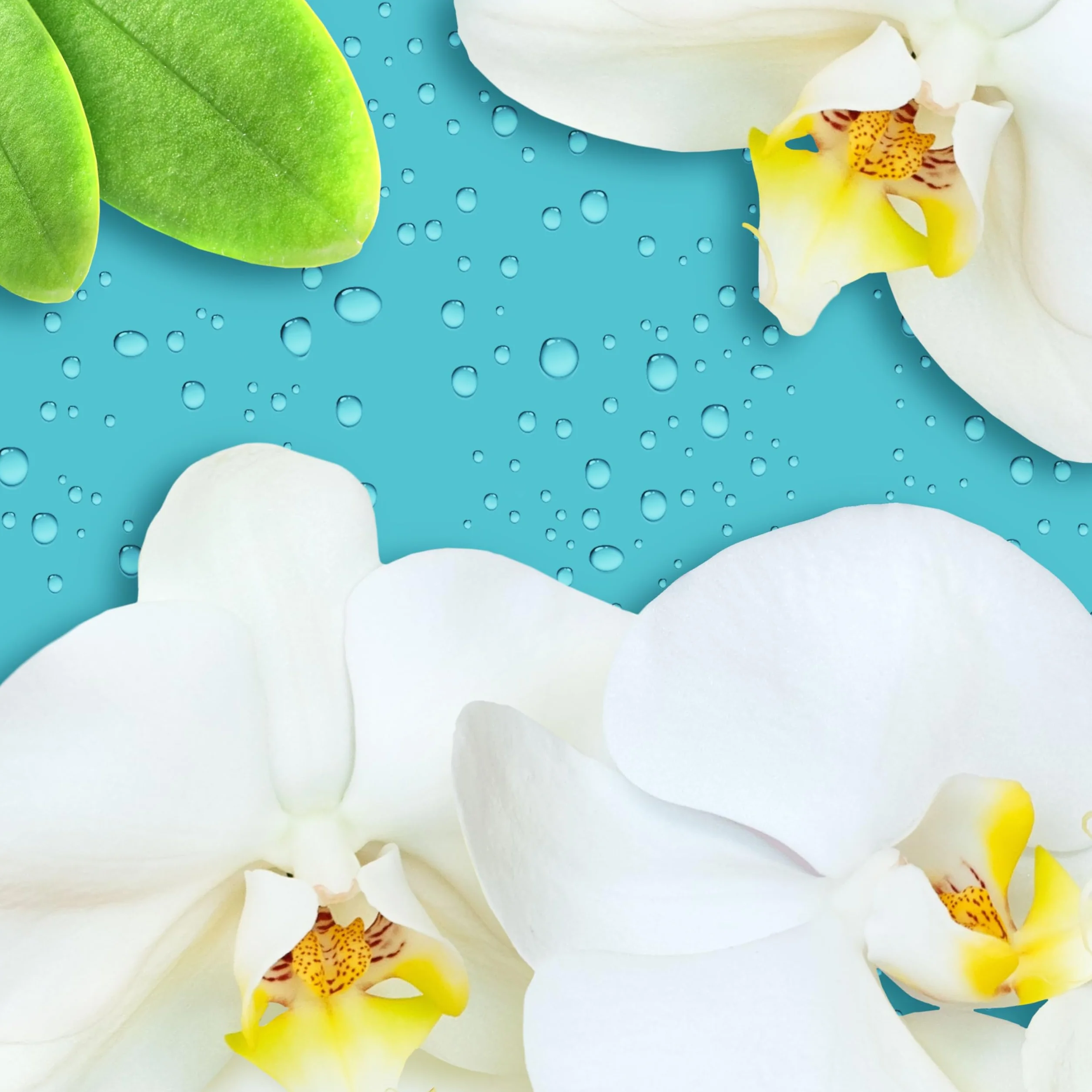 Viakal Vetro Doccia Express Spray 720ml Fiori bianchi Senza Risciacquo