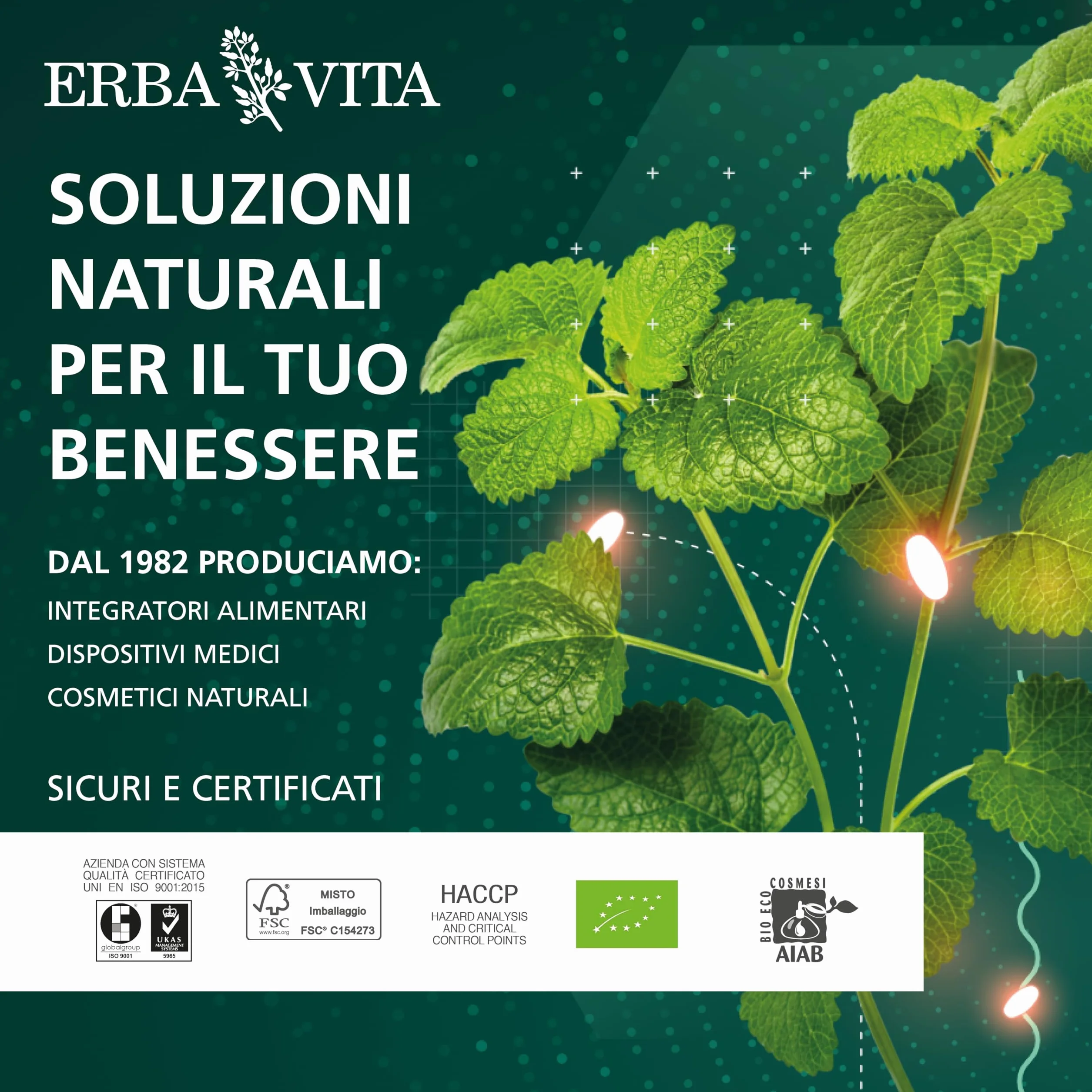ERBA VITA Memo Energy integratore alimentare Ginkgo Biloba Bacopa memoria funzioni cognitive 10 flaconcini