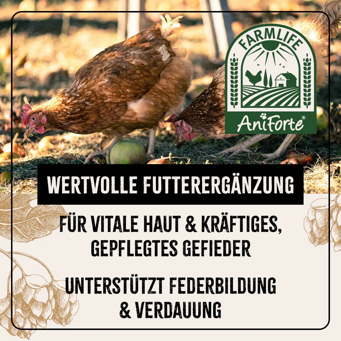 FarmLife Lievito di birra per polli e pollame, integratore naturale, 1 kg