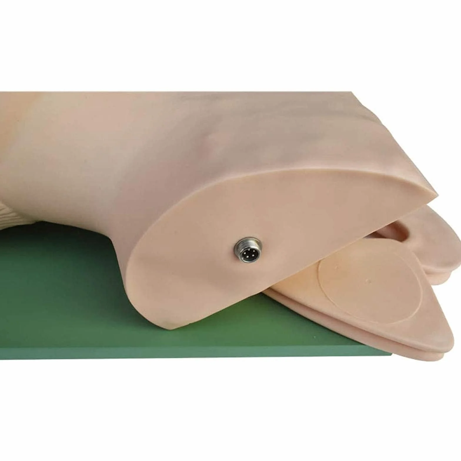 Manichino di intubazione adulto in PVC per insegnamento, modello vie aeree 220V