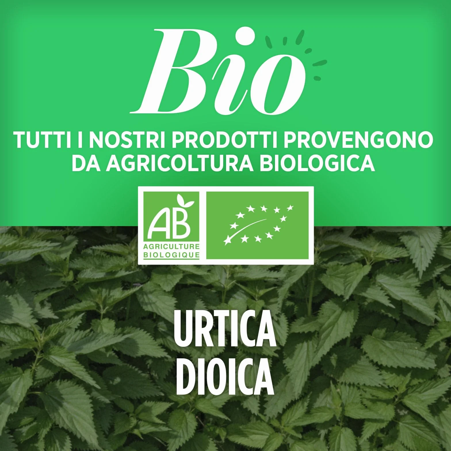 Ortica Foglie Bio 400mg 200 compresse