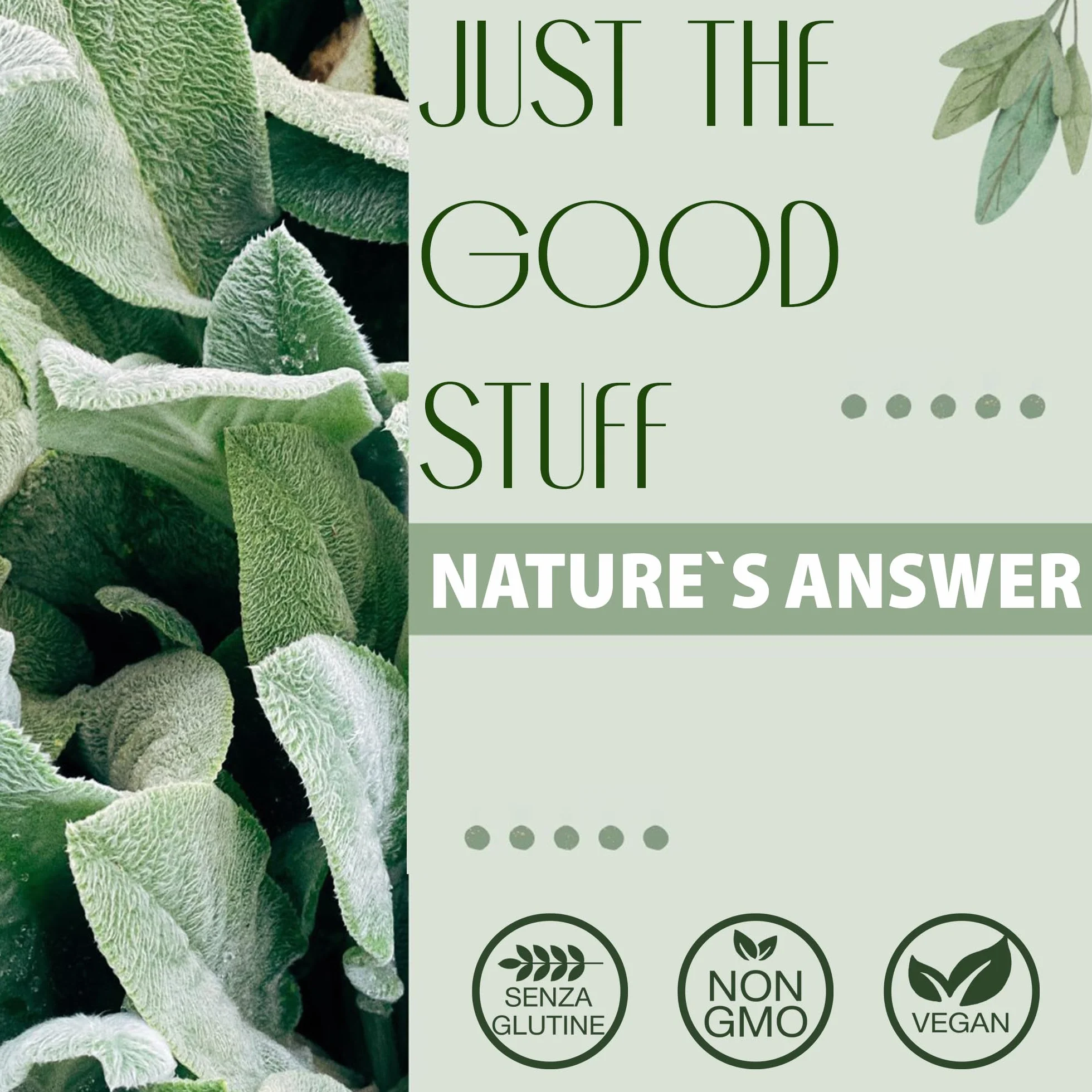 Nature's Answer Gotu Kola 950mg 90 Capsule vegane Testato in Laboratorio Senza Glutine Senza Soia