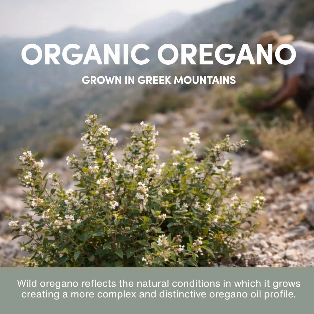 Olio di origano greco selvatico Integratore 86-90% Carvacrolo Biologico Vegano Senza Glutine 30 ml