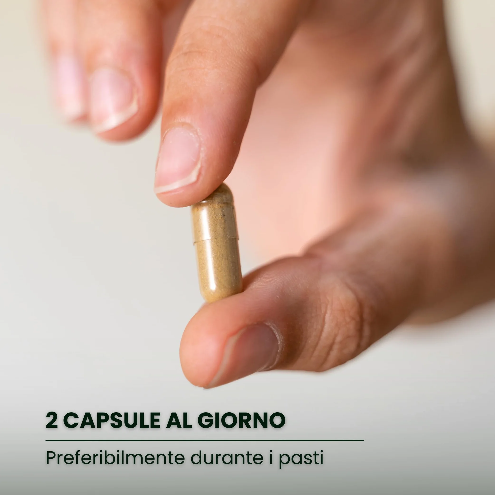 Nootropico naturale senza caffeina - Bacopa, Criniera di Leone, Colina, Ginkgo, Tè verde, Fosfatidilserina – Memoria, Concentrazione e Affaticamento Mentale - Senza additivi - Minfire Nutribiolite