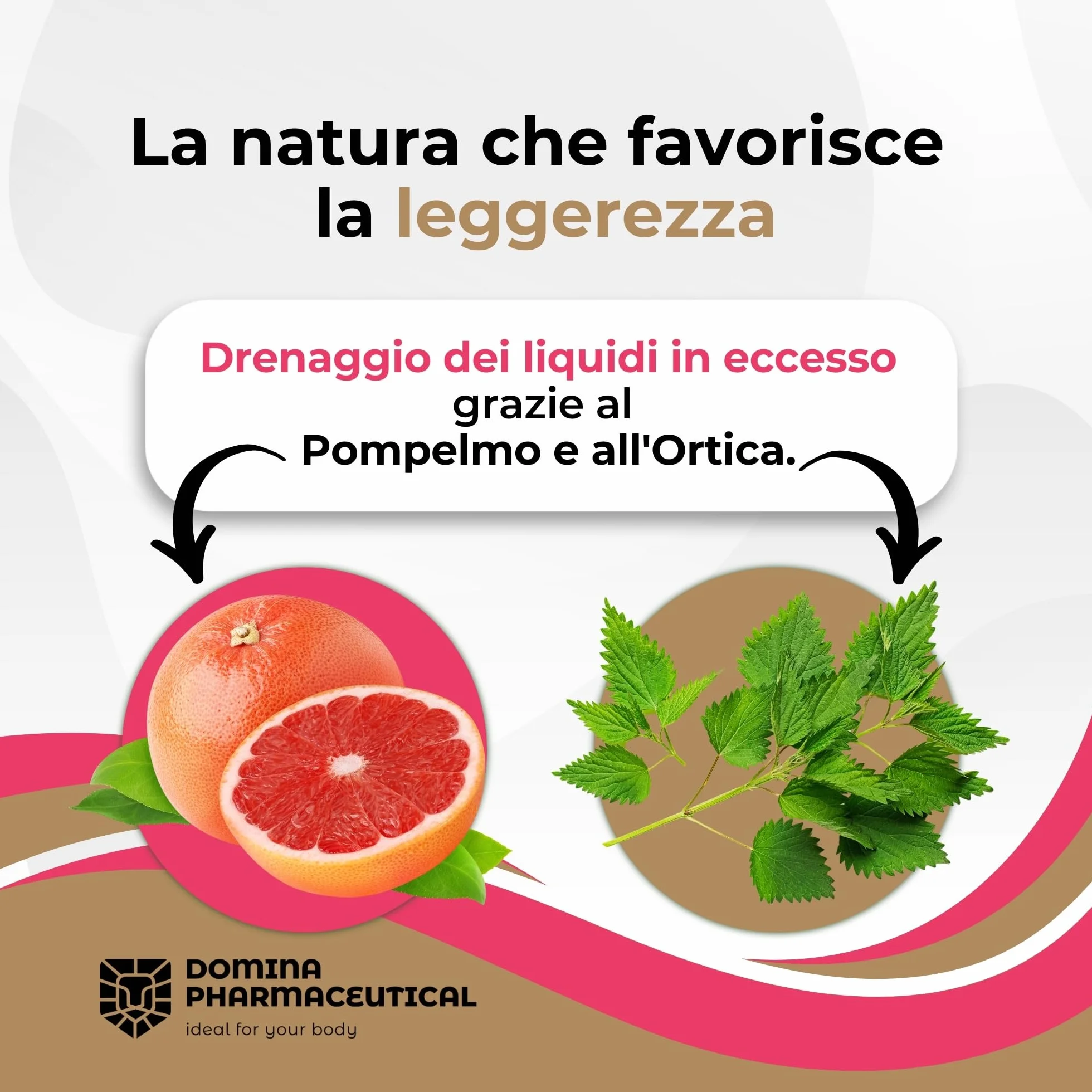 D Mannosio [PURO - VEGANO] Mannosio - con Mirtillo | Tripla Azione - Vie Urinarie - Intestino - Stress Ossidativo | Cistite - Candida Vaginosi | 500 mg -30 Capsule