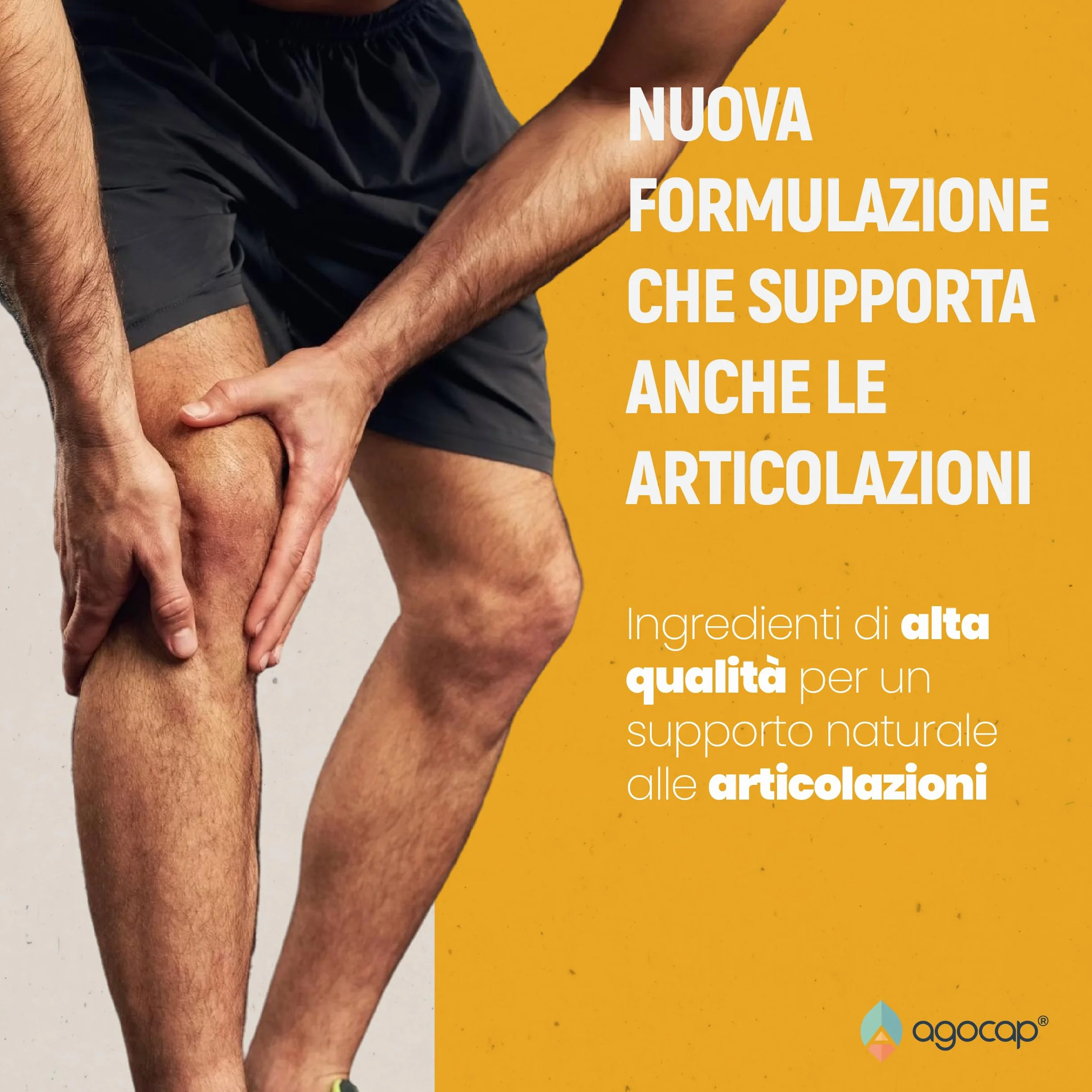 Curcuma e Piperina 60 compresse integratore curcumina zenzero vegano Made in Italy