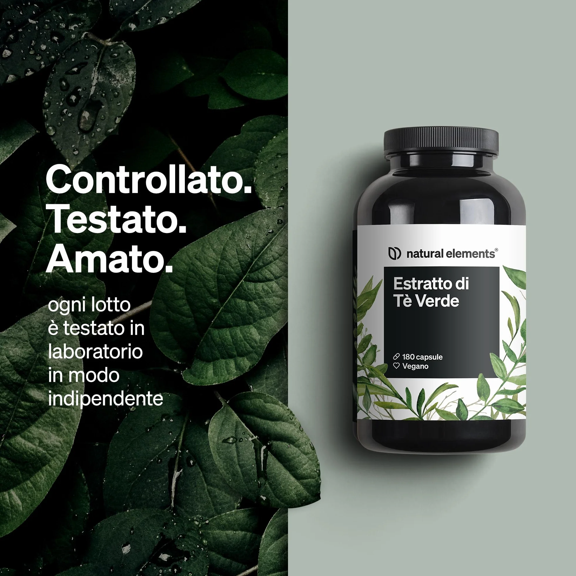 Estratto di tè verde 1998 mg per dose giornaliera – 180 capsule – con ECGC e polifenoli – vegano, alto dosaggio, zero additivi – prodotto e testato in laboratorio in Germania