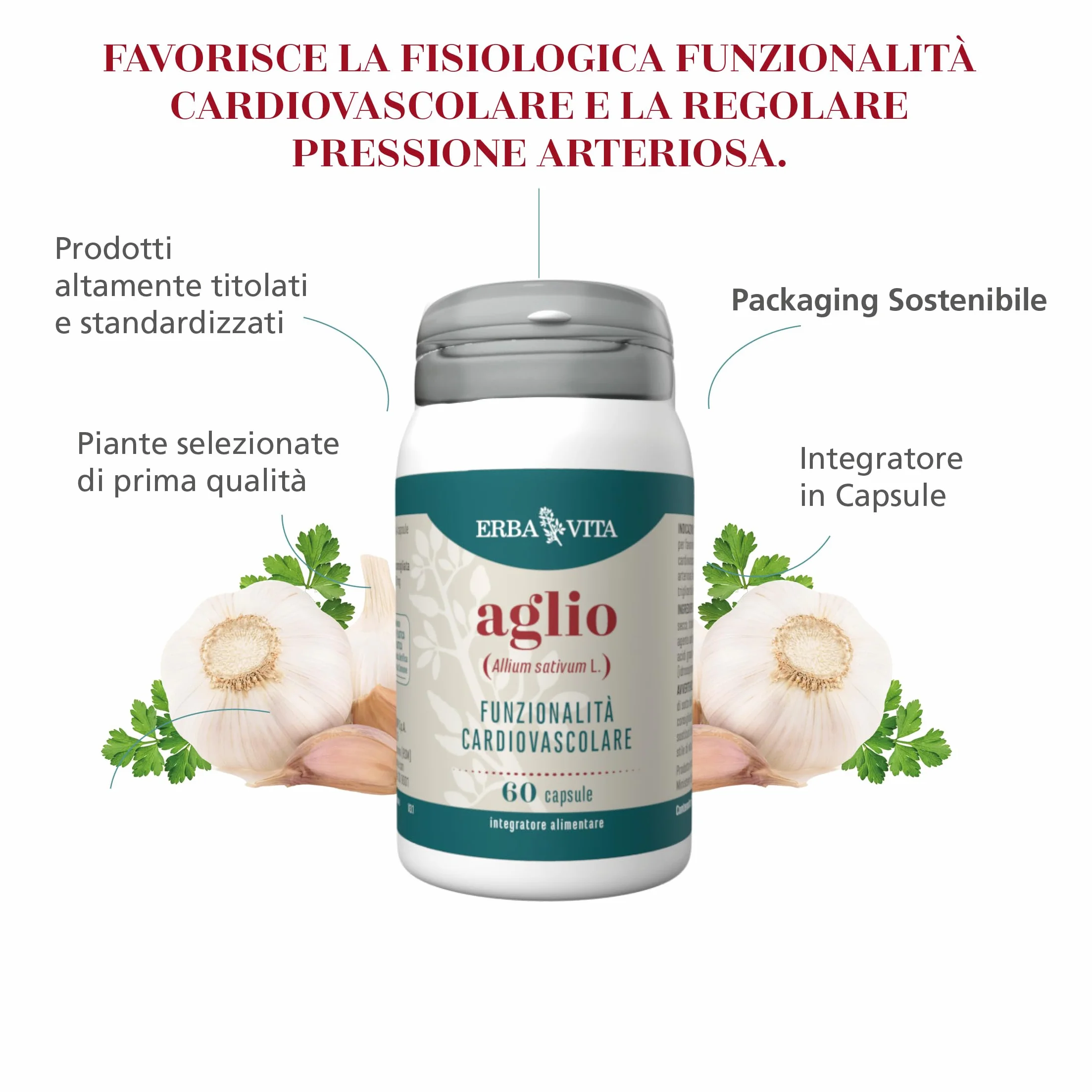 ERBA VITA Integratore Alimentare di Aglio - 60 Capsule - È utile alla funzionalità cardiovascolare e alla pressione arteriosa