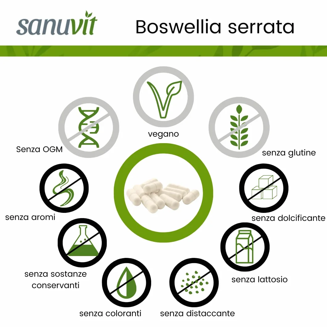 Sanuvit® - Cápsulas de Incienso 500 mg | Altamente dosificado con 500mg de Boswellia serrata india por cápsula | Alta biodisponibilidad | con Boswellin® | Vegano | 180 cápsulas
