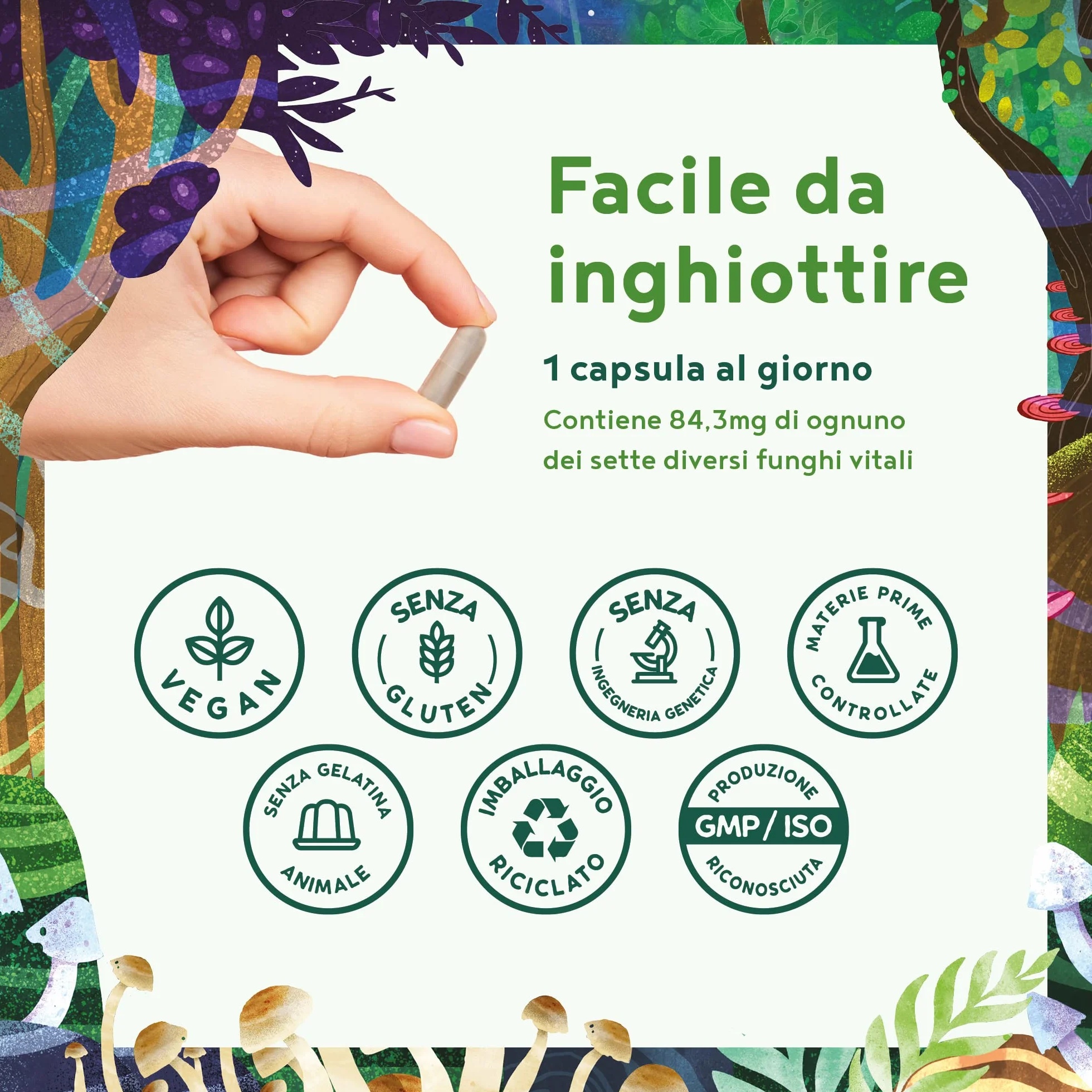 Funghi Funzionali con Maitake, Funghi Shiitake, Cordyceps, Fungo Reishi, Agaricus, Lions Mane | Integratore Multivitaminico Completo per Difese Immunitarie Adulti e Salute del Cuore | Alpha Foods