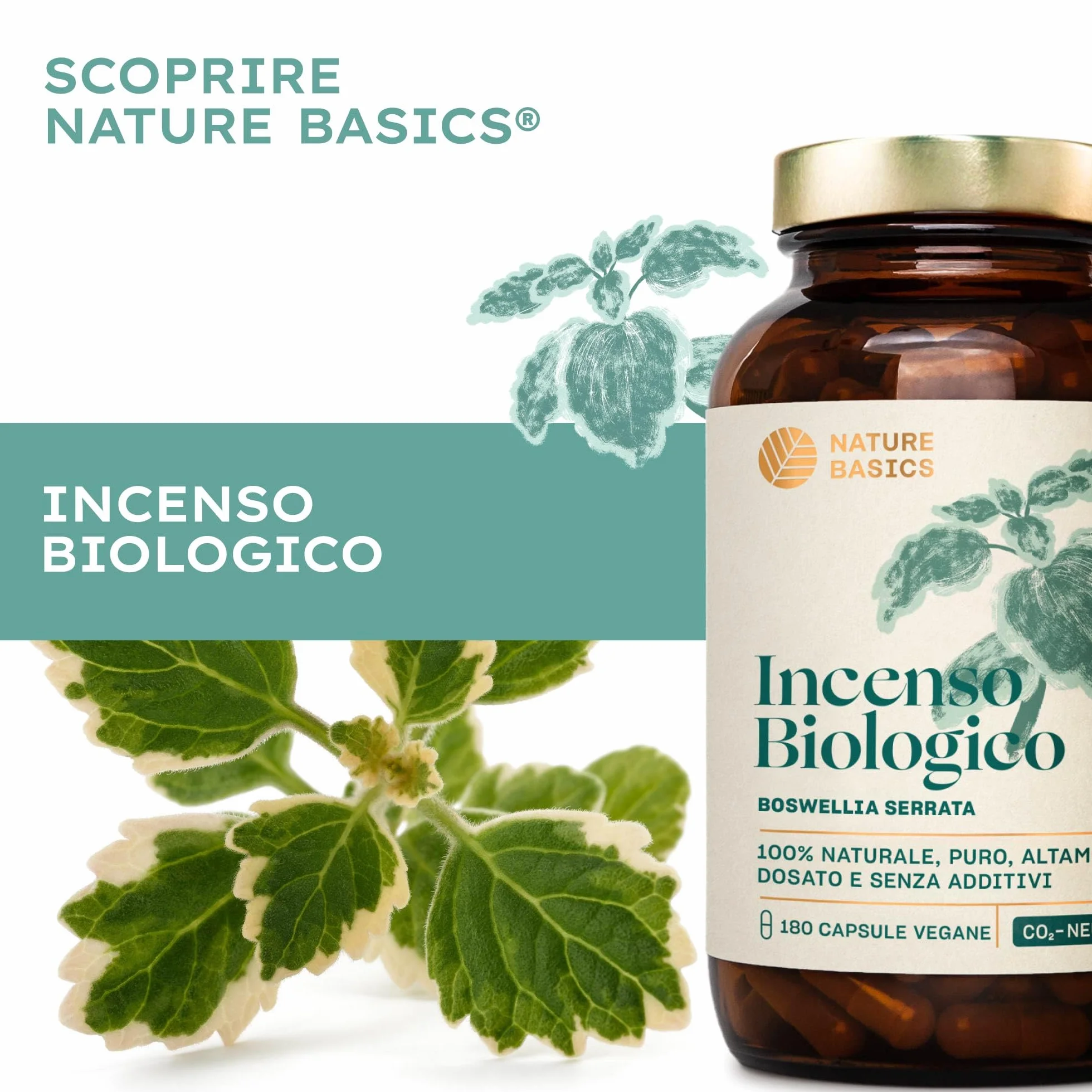 Capsule di incenso biologico - 180 capsule ad alto dosaggio / 500 mg di estratto di incenso biologico per dose giornaliera/Integratore alimentare ayurvedico di alta qualità/Vegano e sostenibile