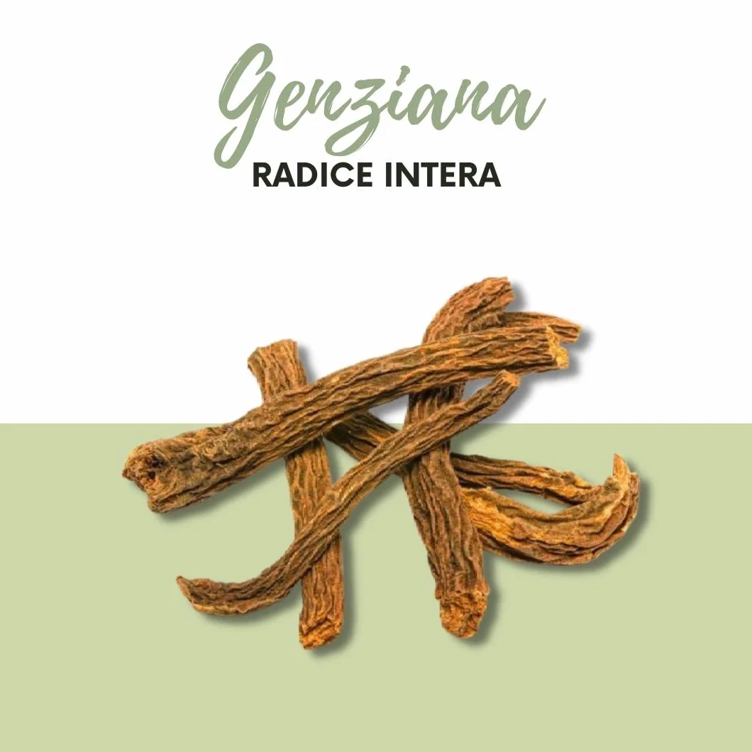 Genziana radice Intera 200g Radici Naturali per Liquori e Digestivi