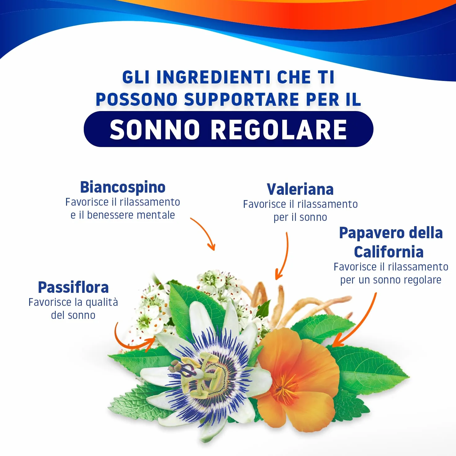 Valdispert Notte Intera 30 Compresse a Lento Rilascio per il Sonno Regolare con Valeriana, Passiflora, Biancospino e Papavero della California