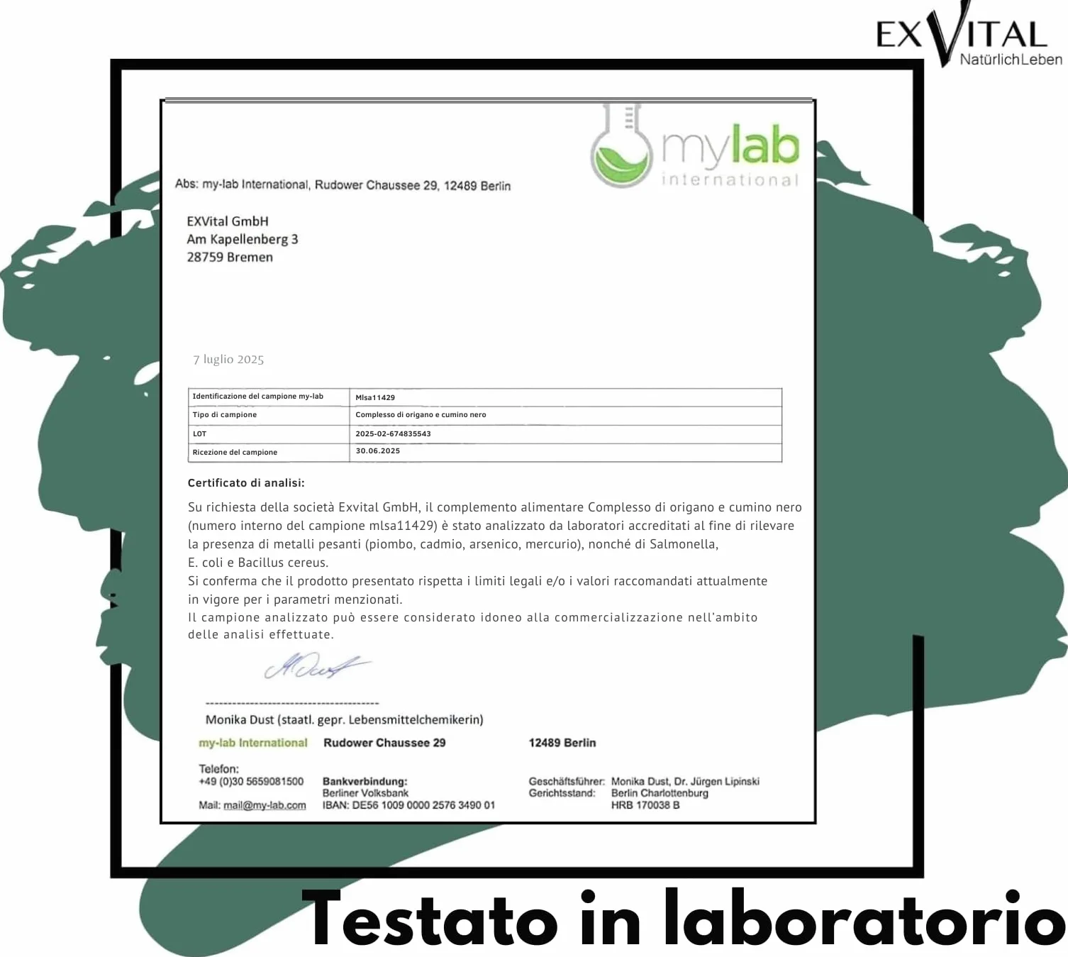 EXVital Complesso olio origano cumino nero 180 capsule vegane 1000 mg carvacrolo 80%